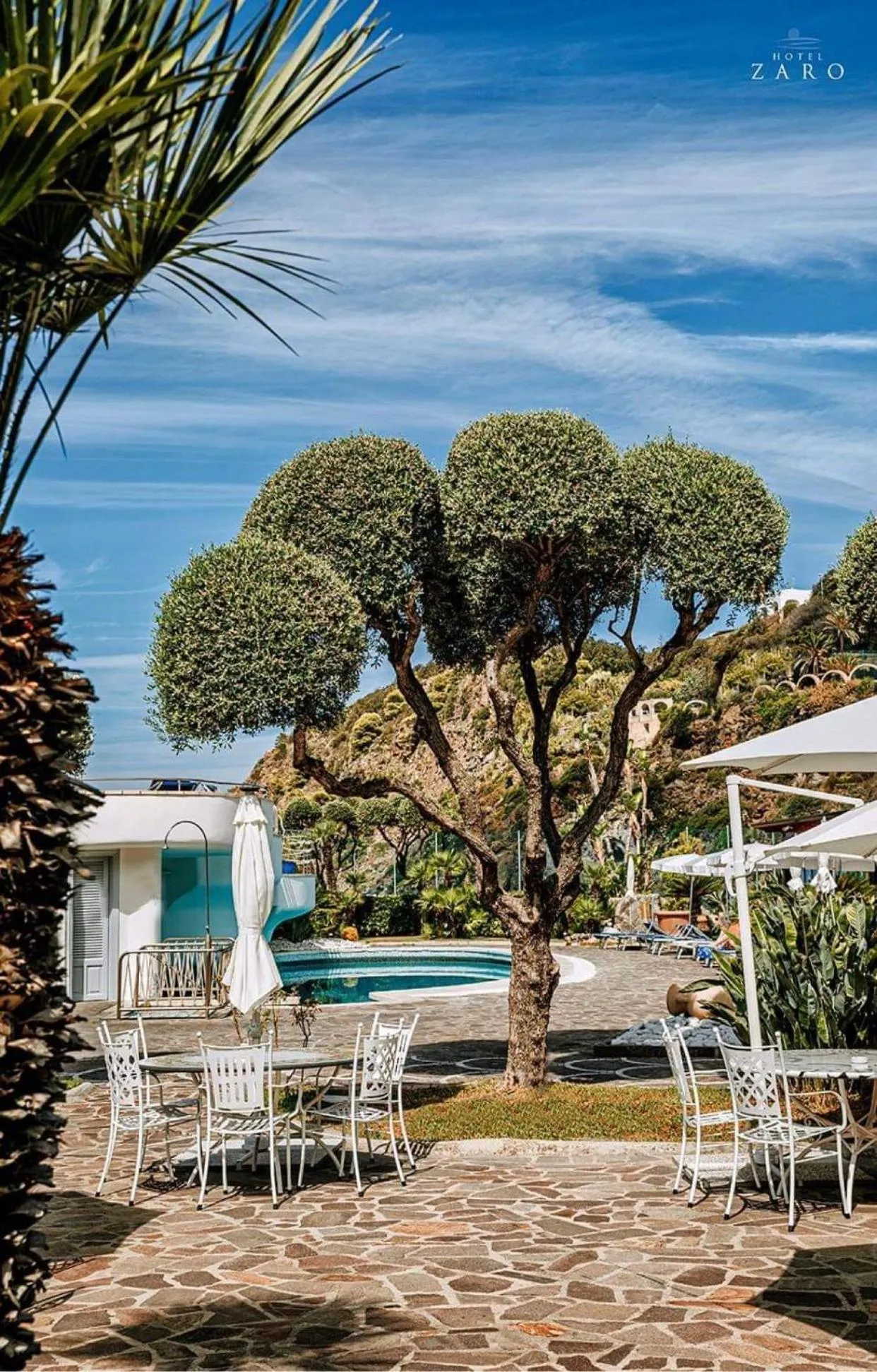 Garden in Hotel Zaro