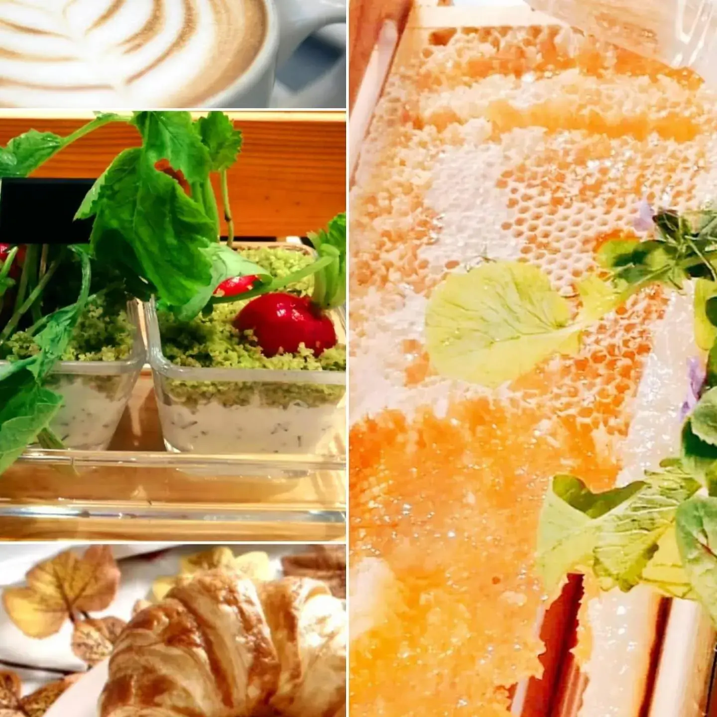 Hotel Miodowy Młyn Hotel Miodowy Młyn