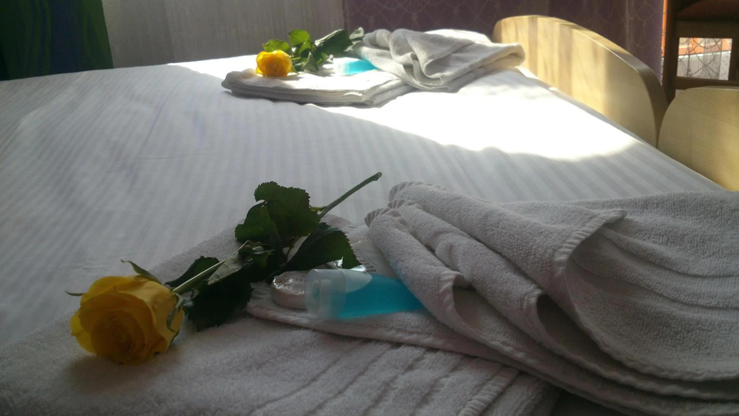 Decorative detail, Bed in Hotel & Motorest V Údolí Zlatého potoka