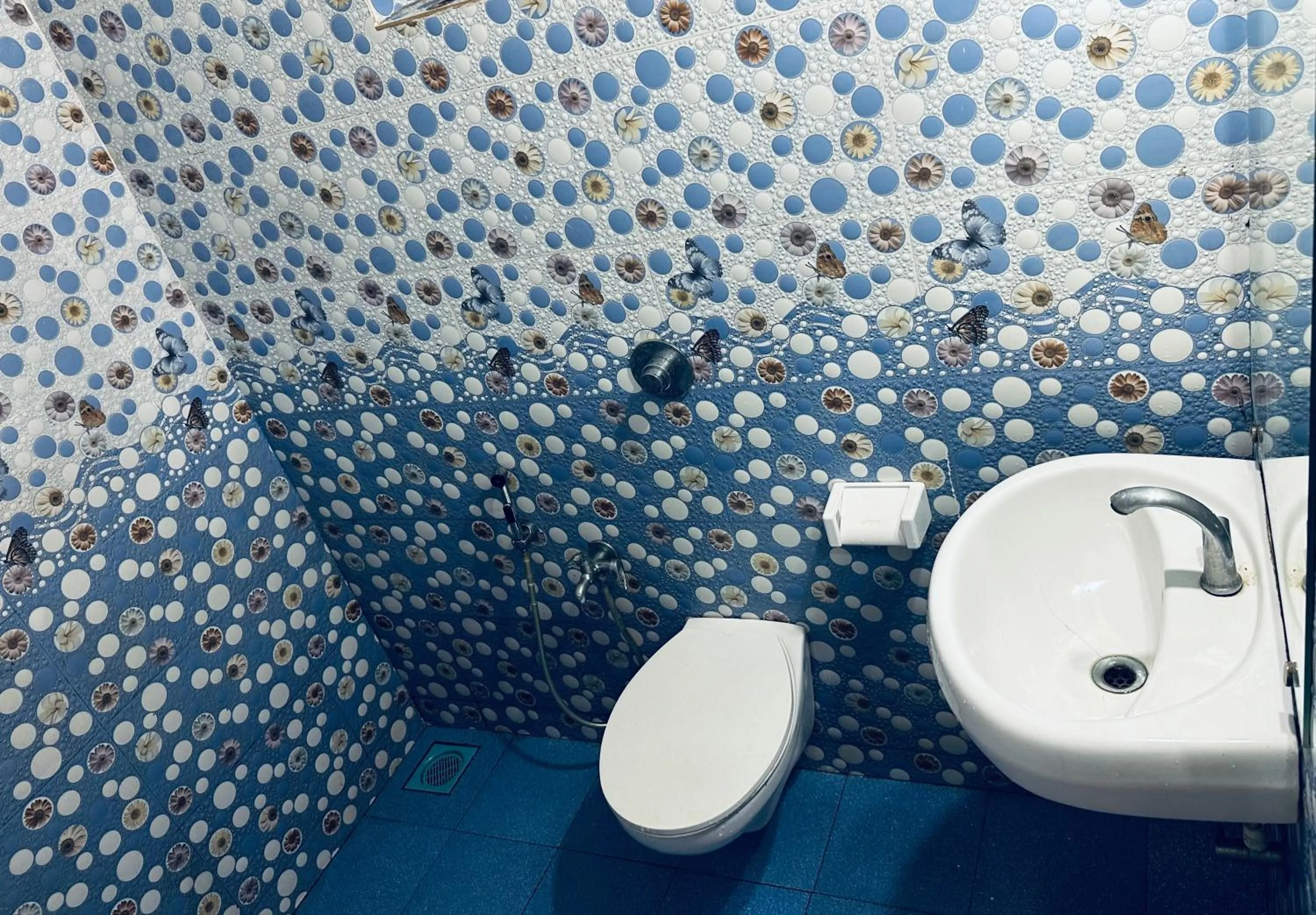 Toilet in Swati