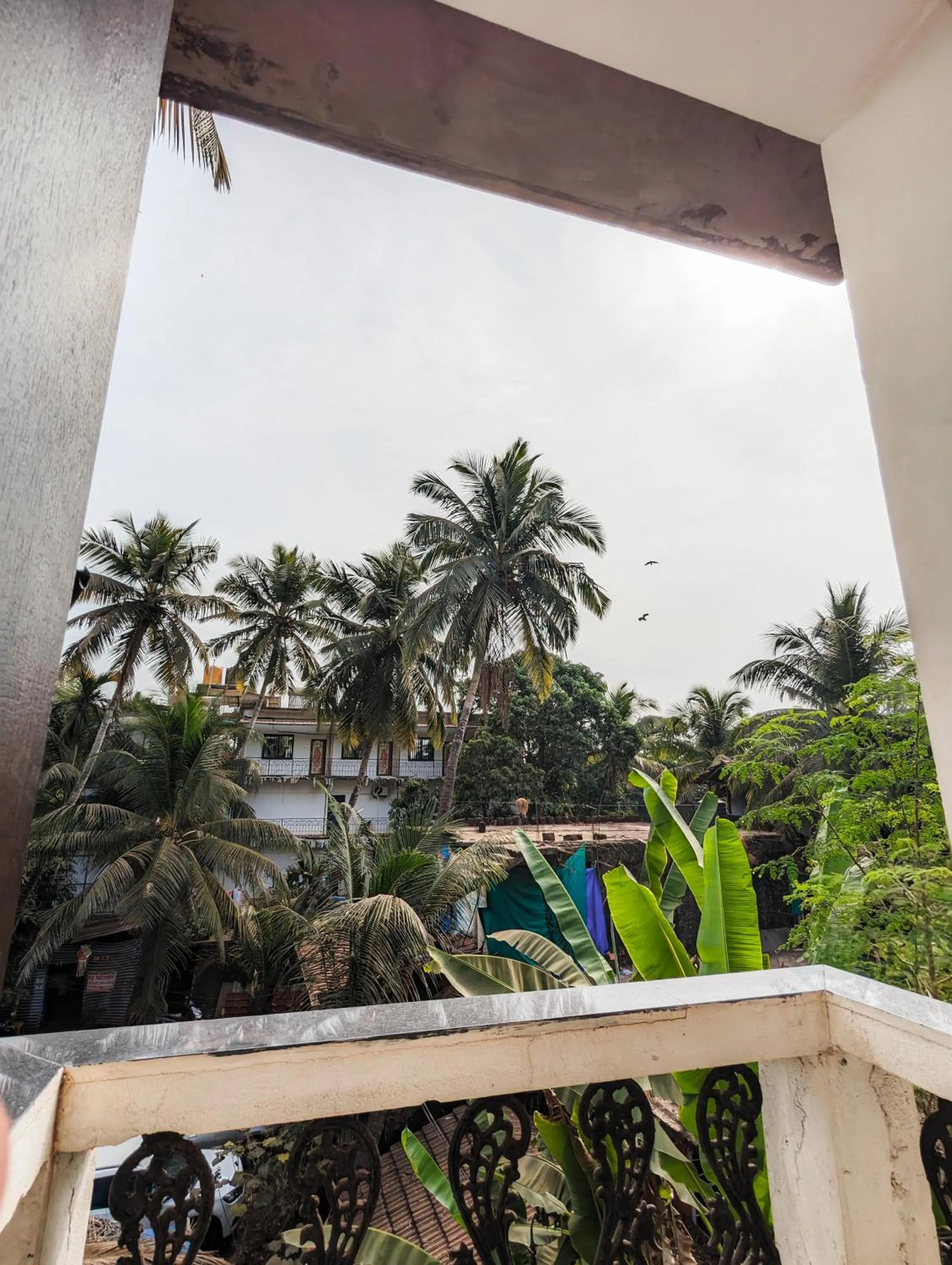Balcony/Terrace in Swati
