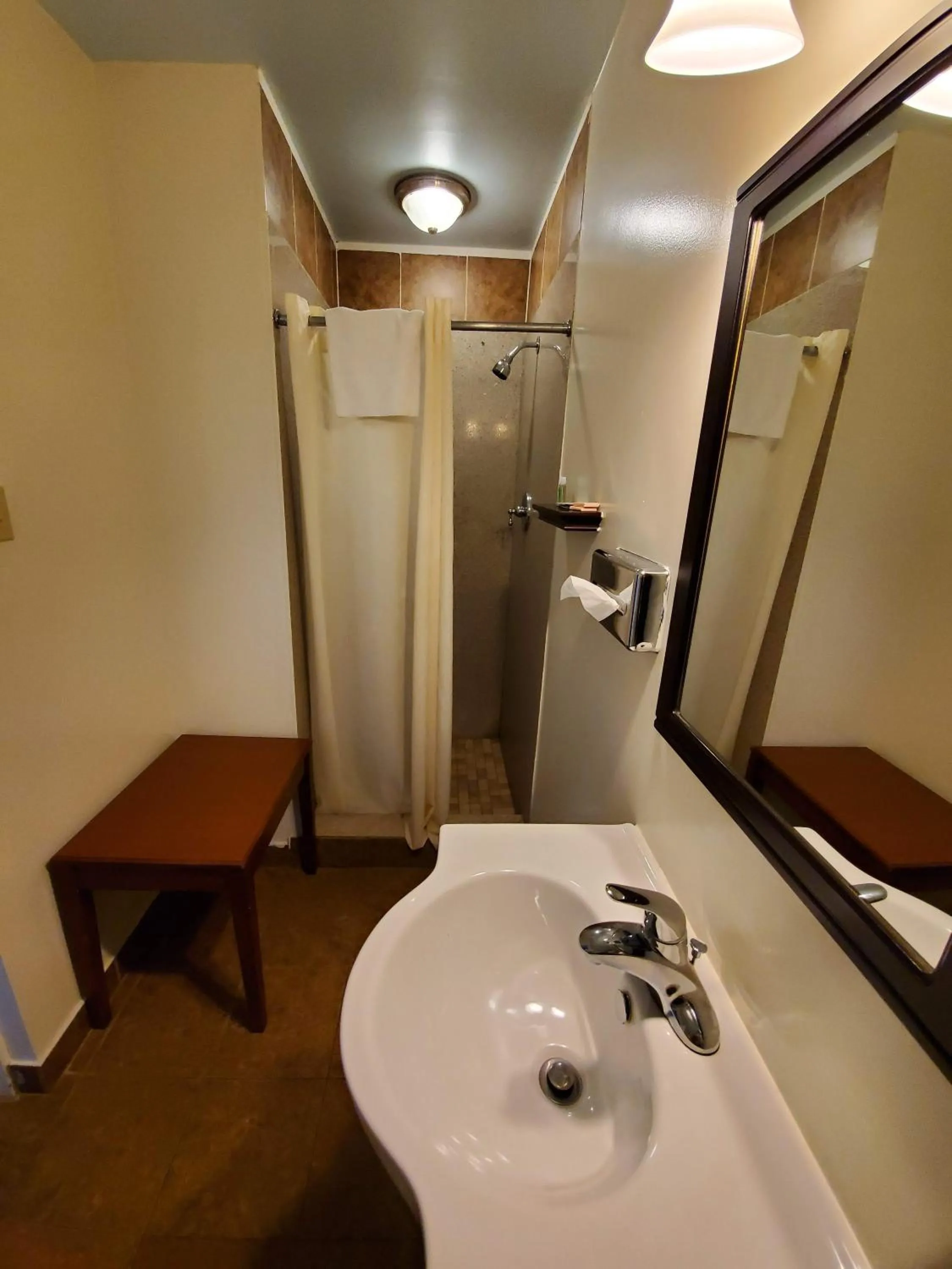 Bathroom in Economy Inn