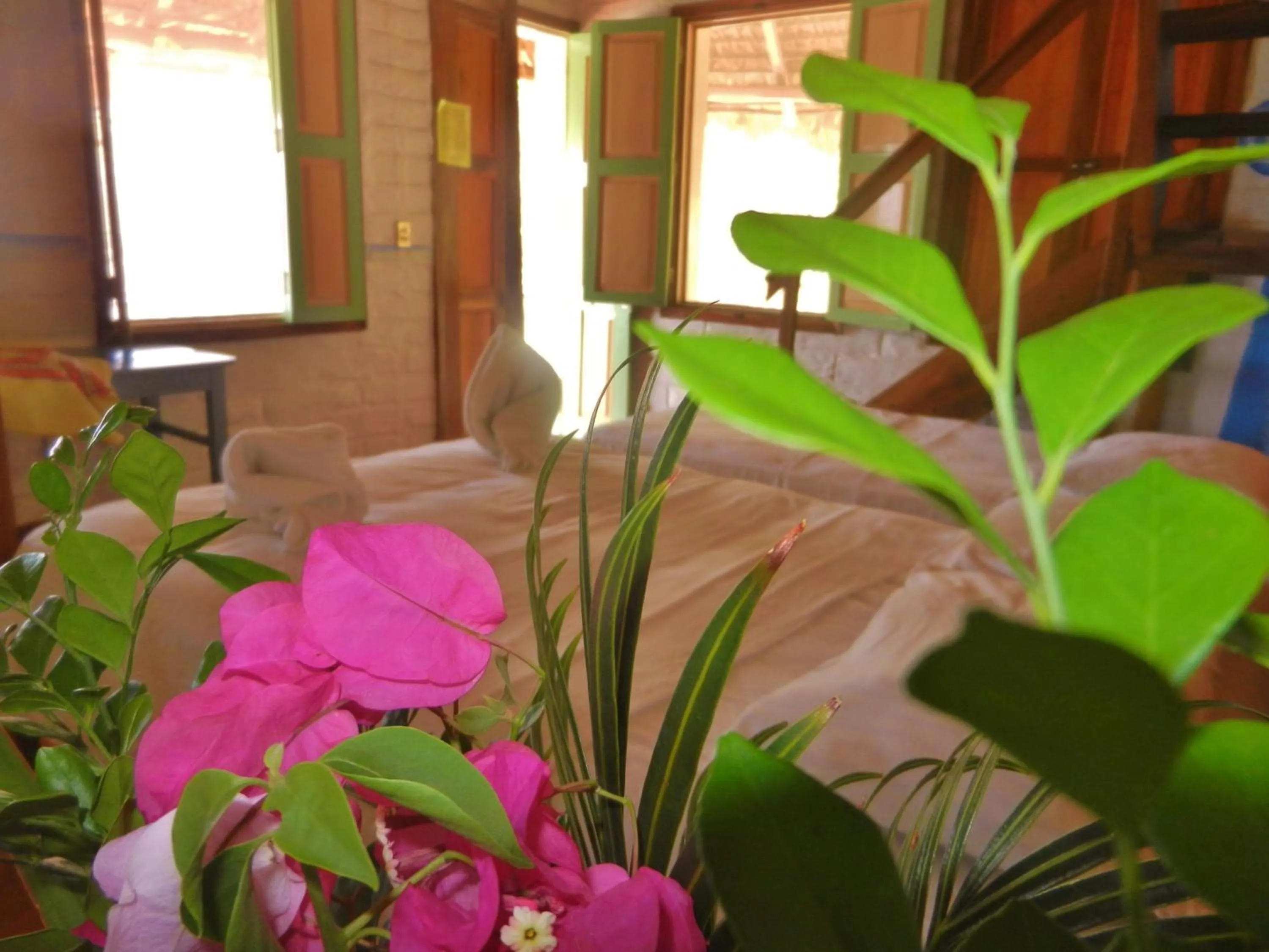 Day in Altamira Mazunte