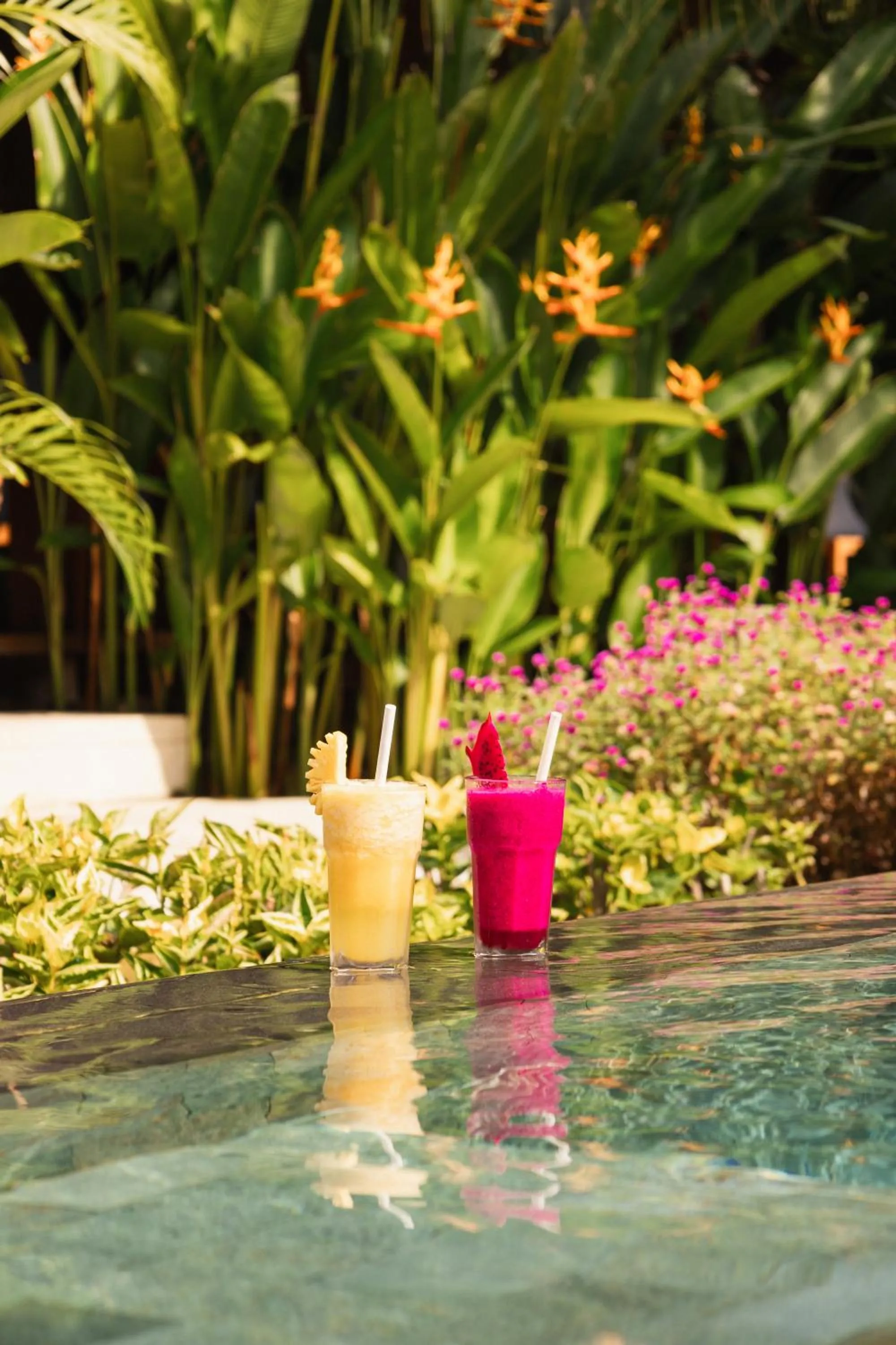 Swimming pool in Villa Penyu Gili Trawangan