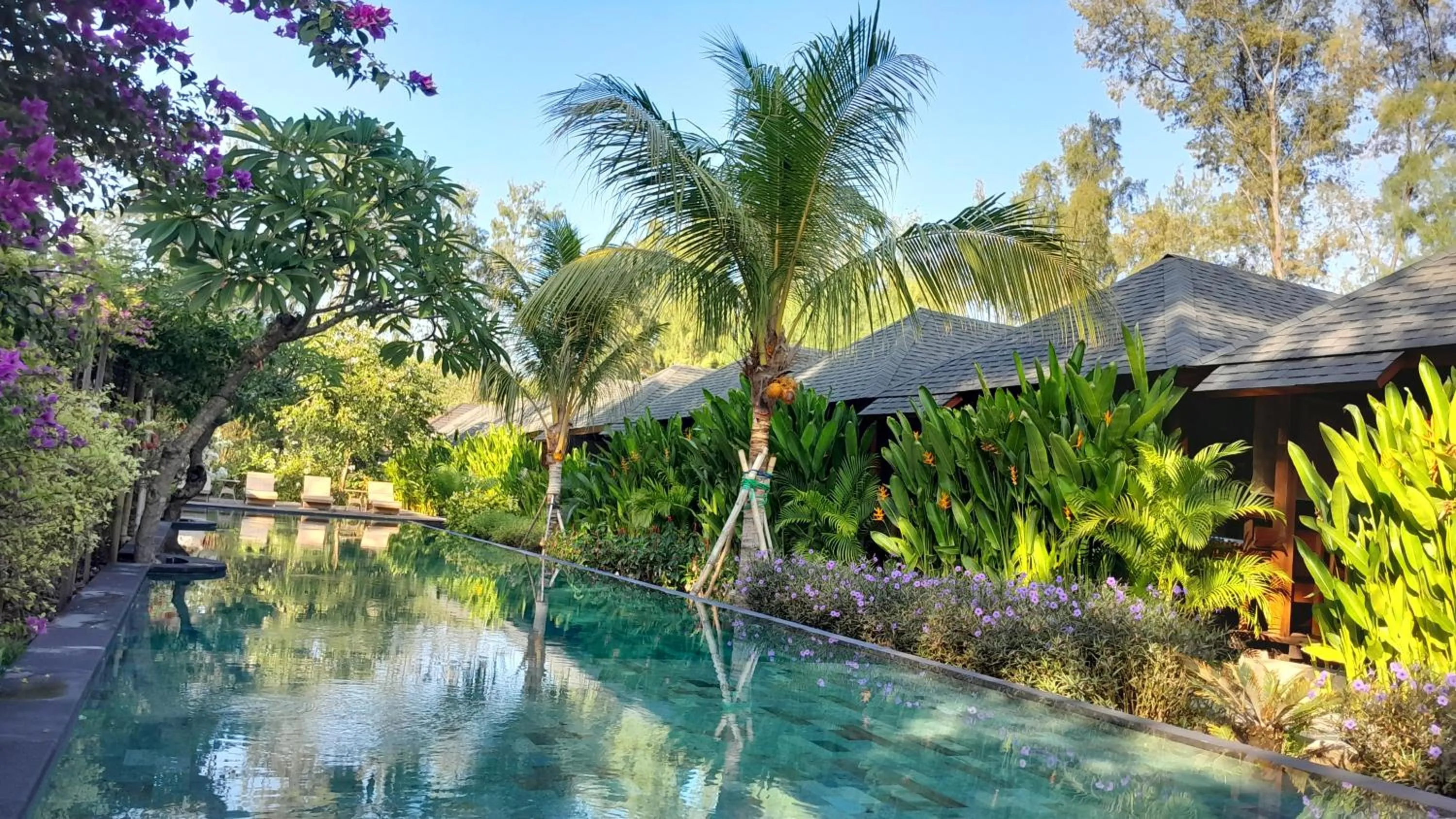 Garden in Villa Penyu Gili Trawangan