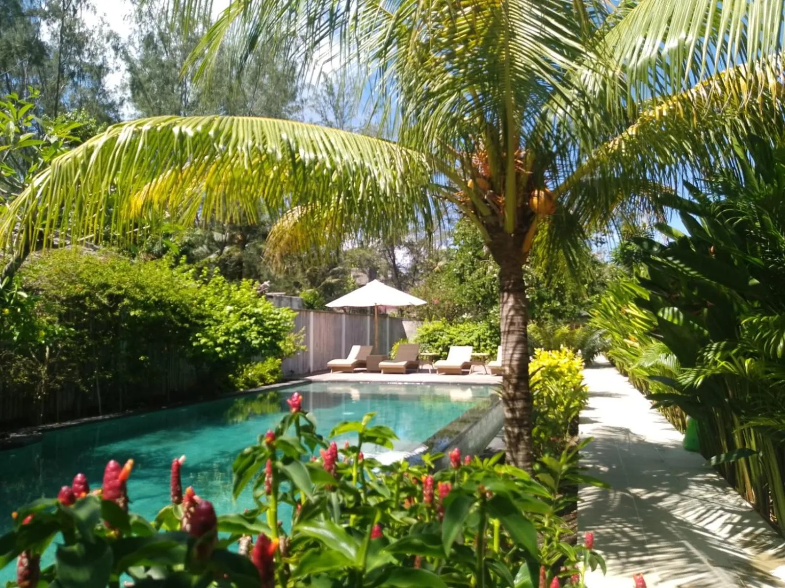 Swimming pool in Villa Penyu Gili Trawangan