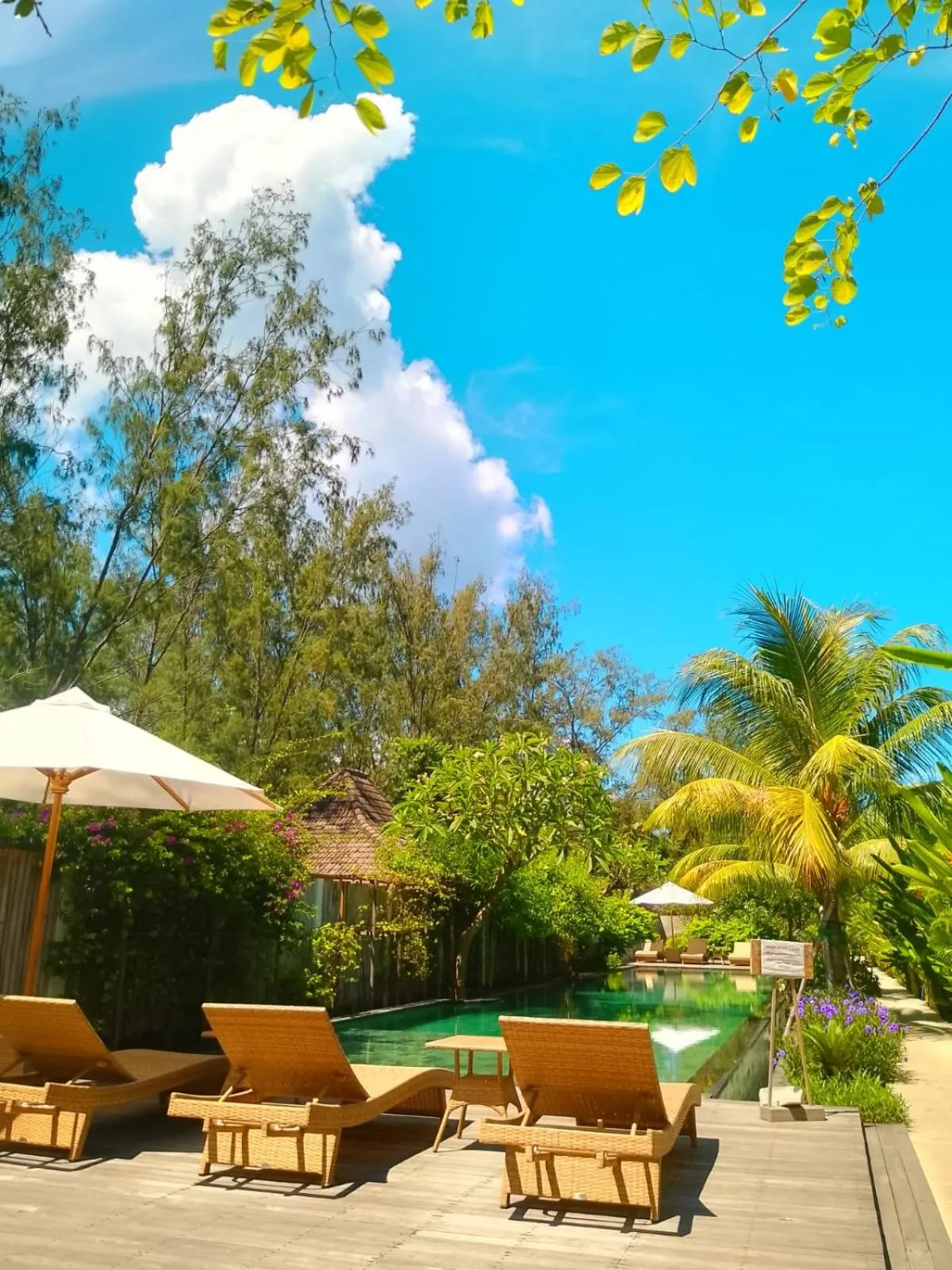 Swimming pool in Villa Penyu Gili Trawangan
