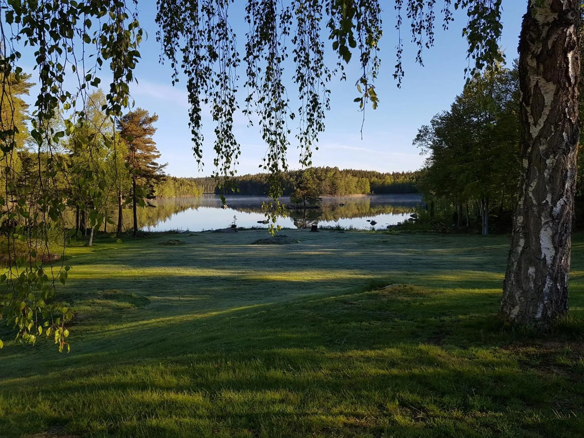Garden view in Hotel Fritza