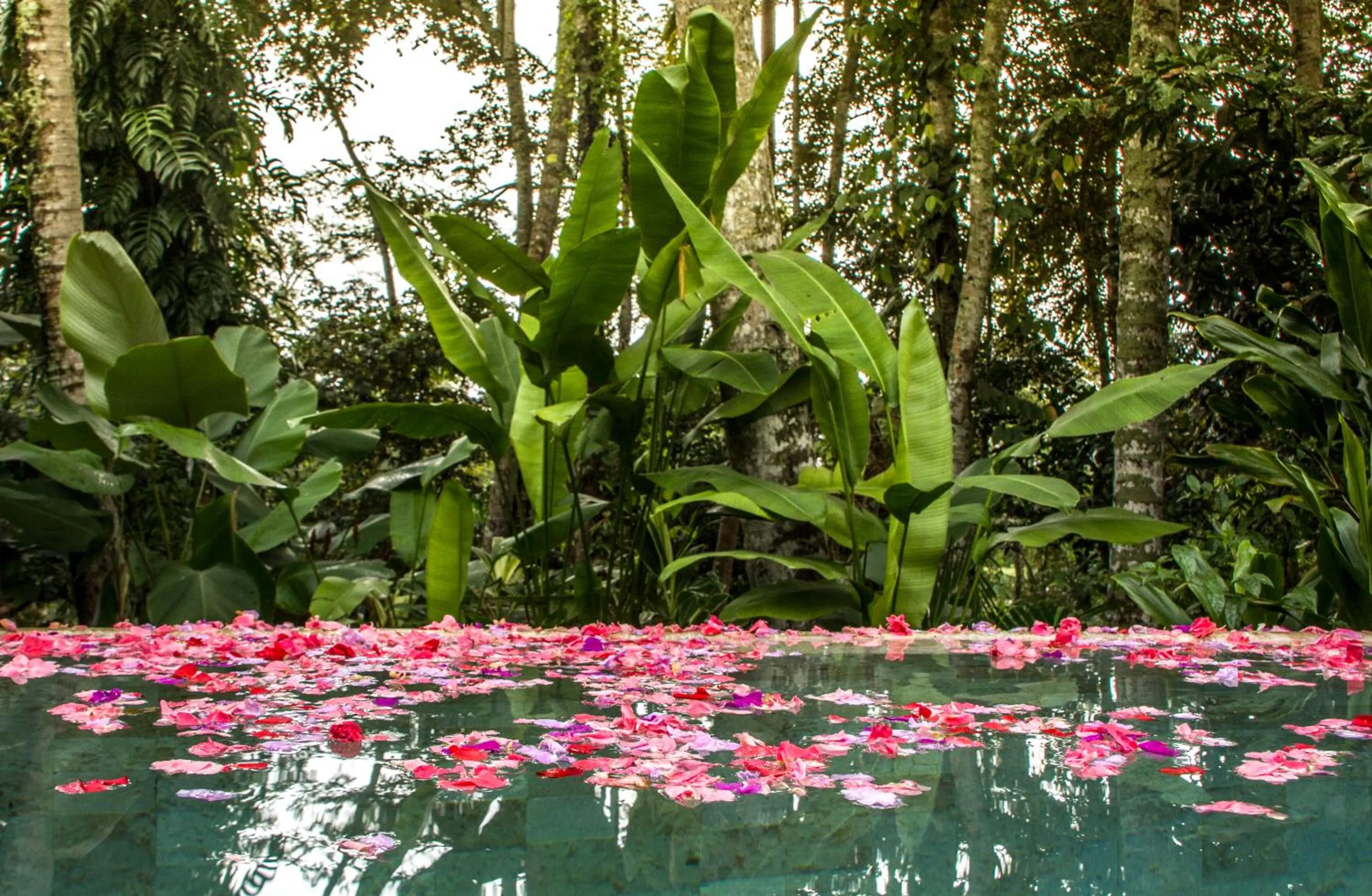Pool view in Sandat Glamping Tents