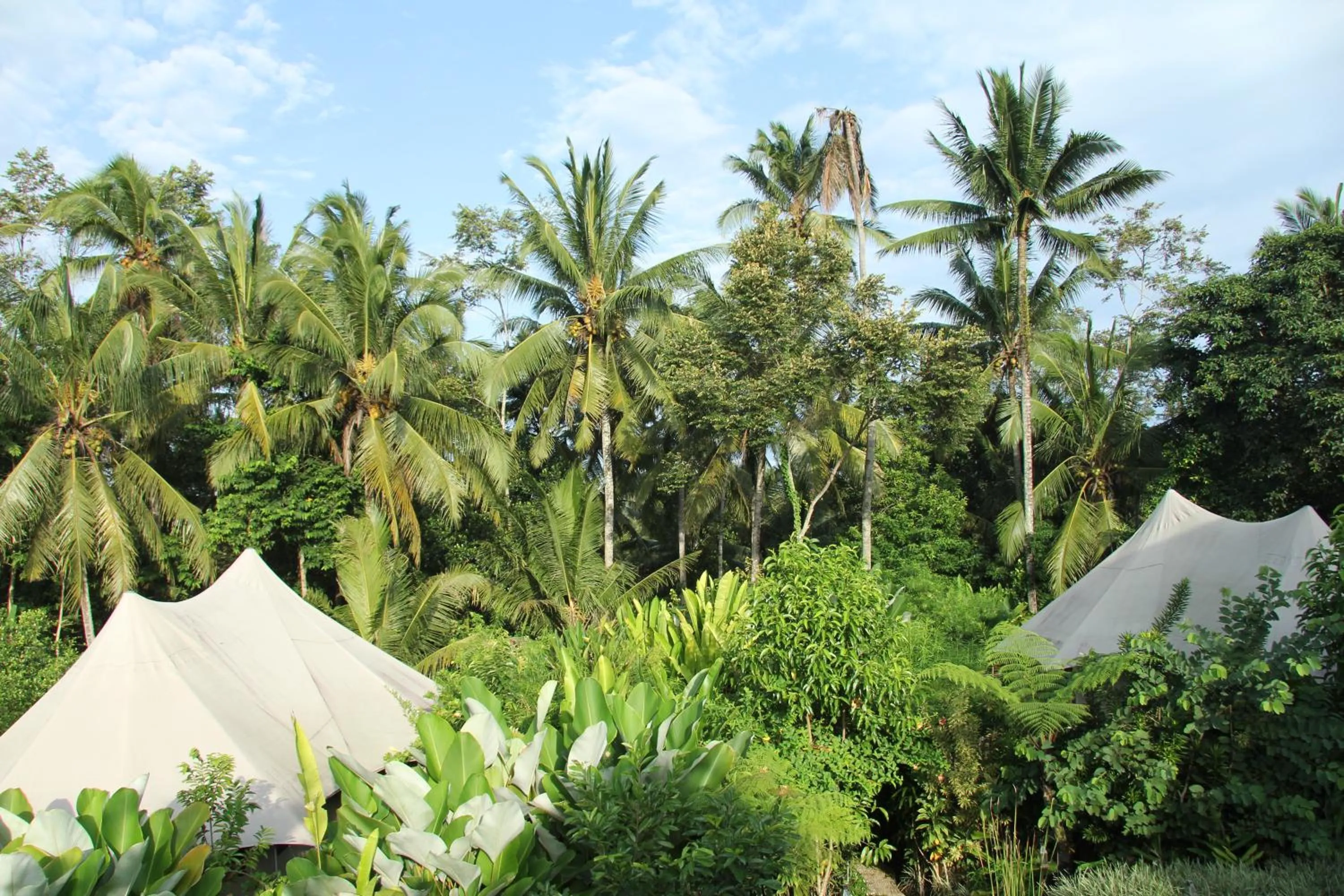 Garden in Sandat Glamping Tents