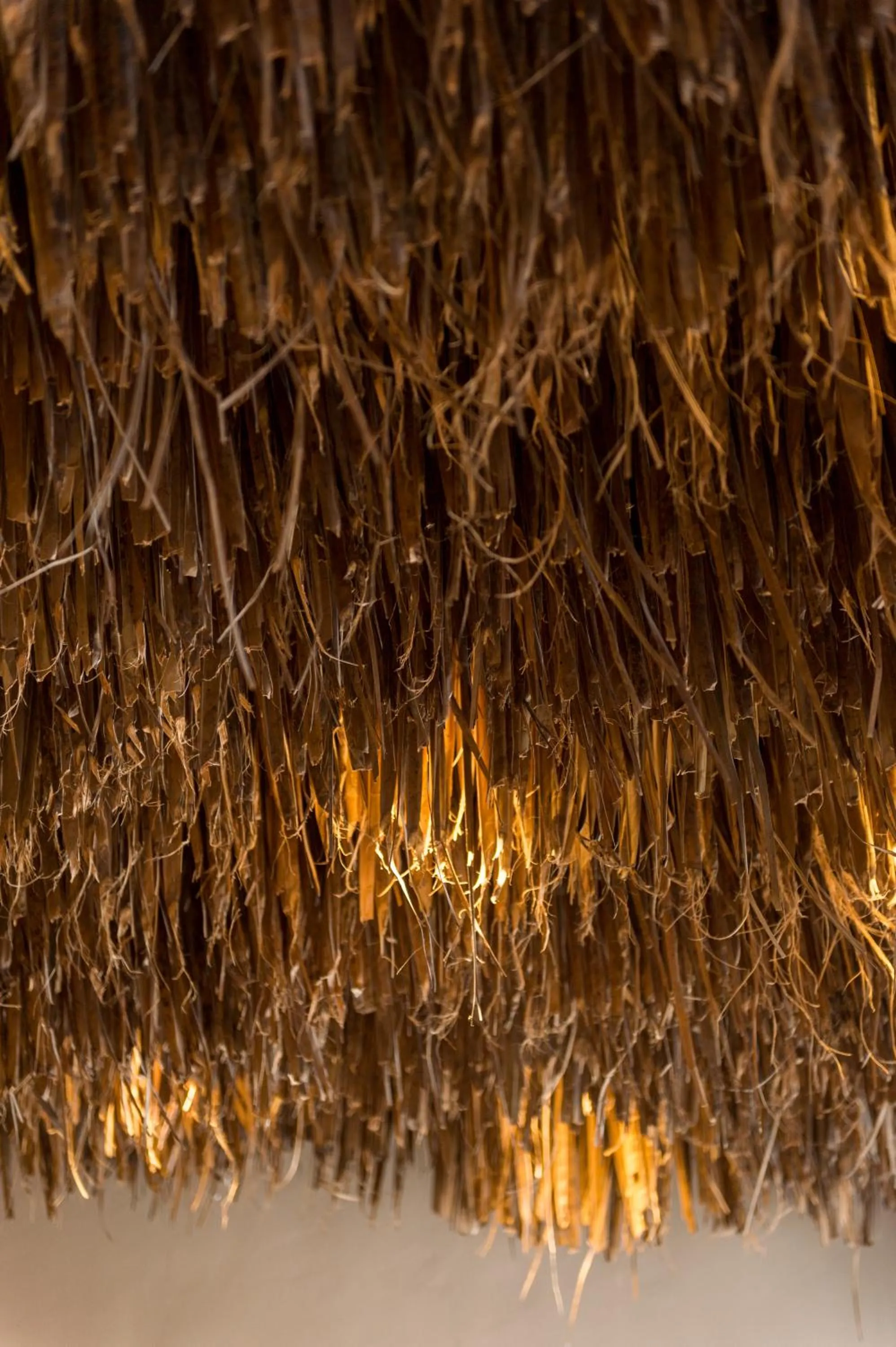 Decorative detail in Hotel Eucalyptus