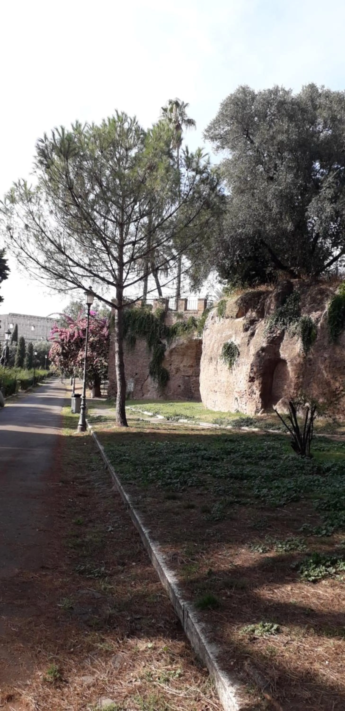 Nearby landmark in Gioia Guest House