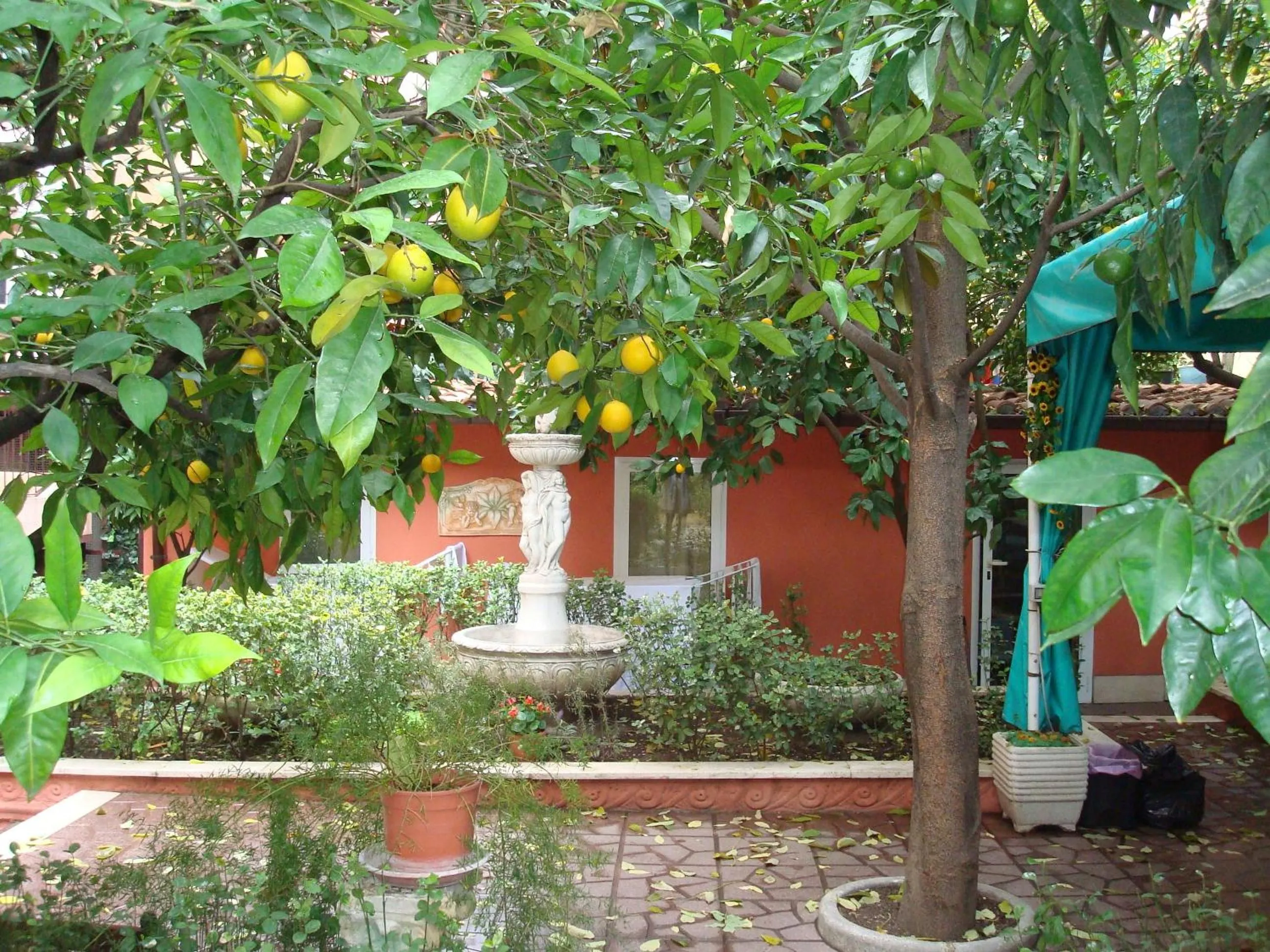 Patio in Gioia Guest House