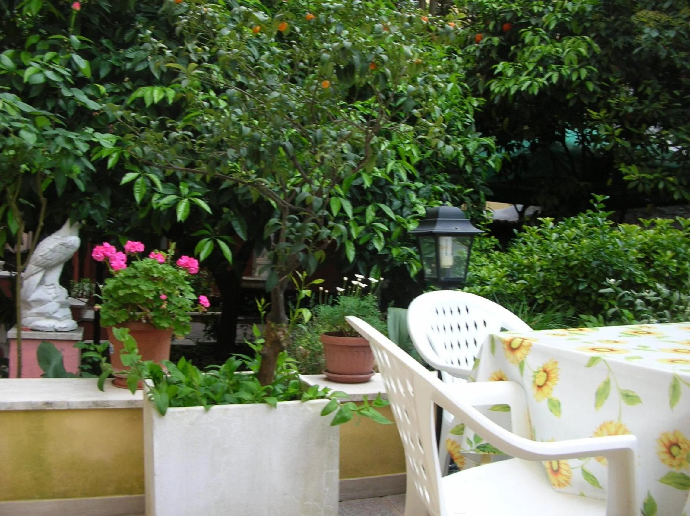Patio in Gioia Guest House