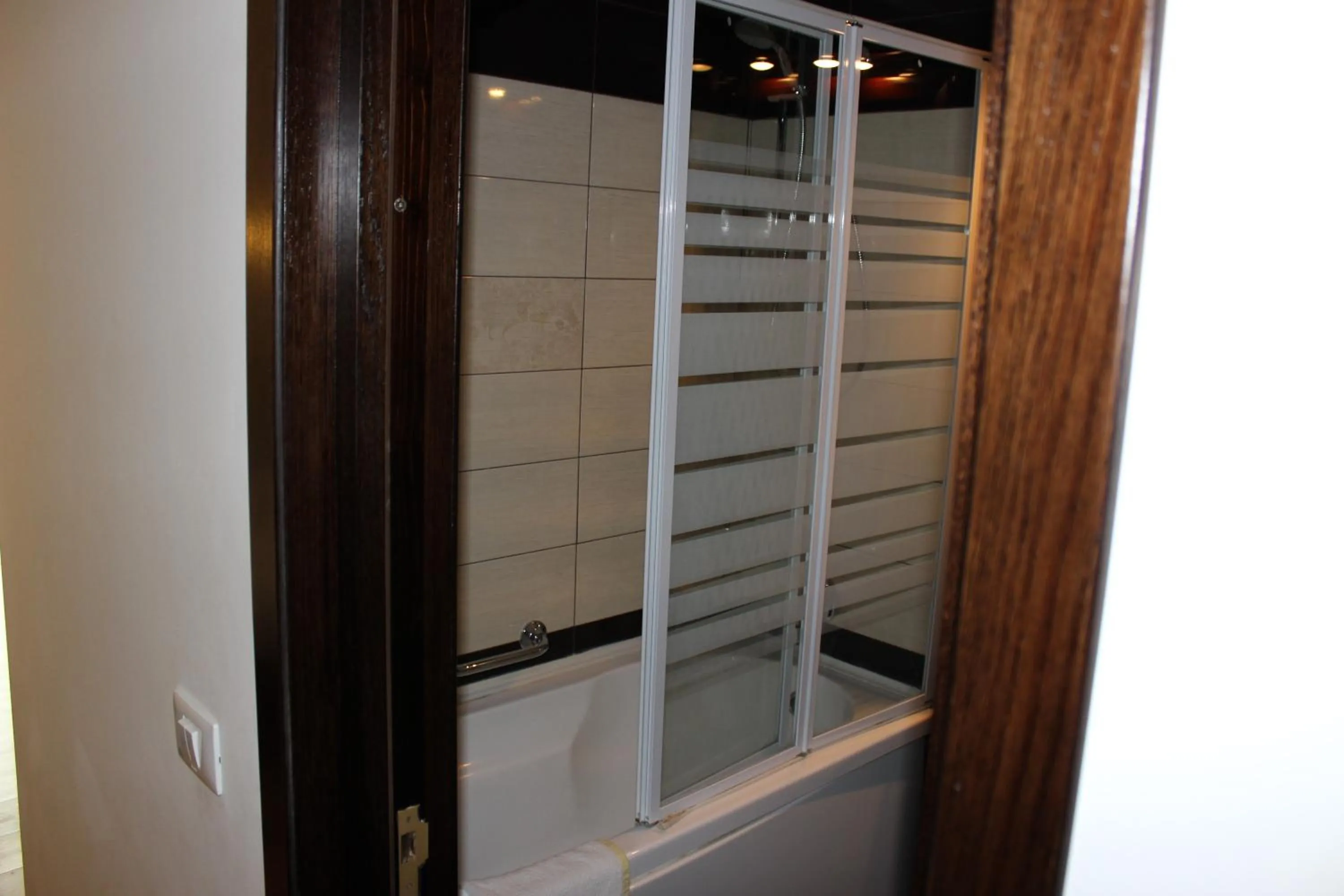 Bathroom in Hotel Anina