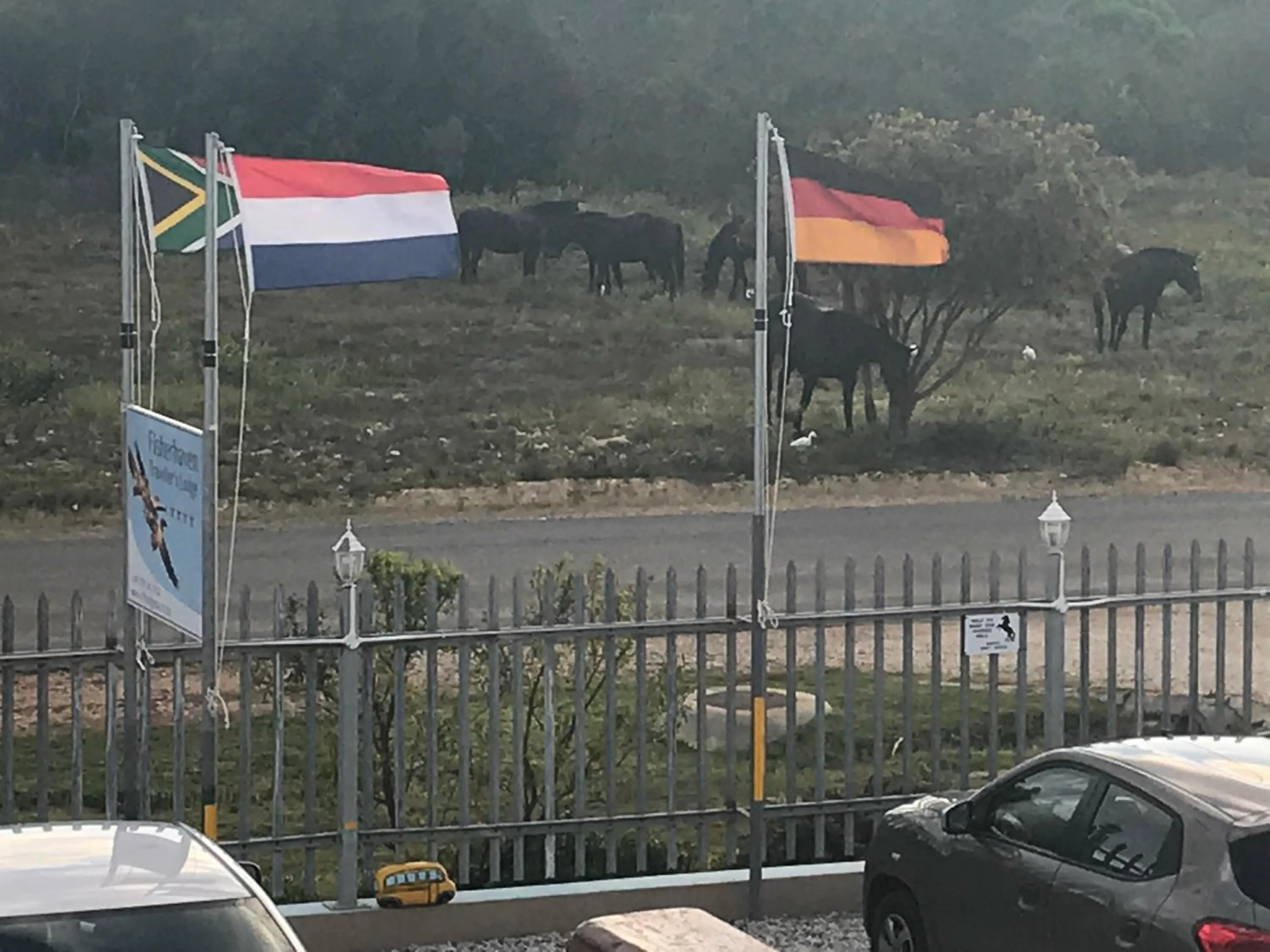 Off site in Fisherhaven Travellers Lodge