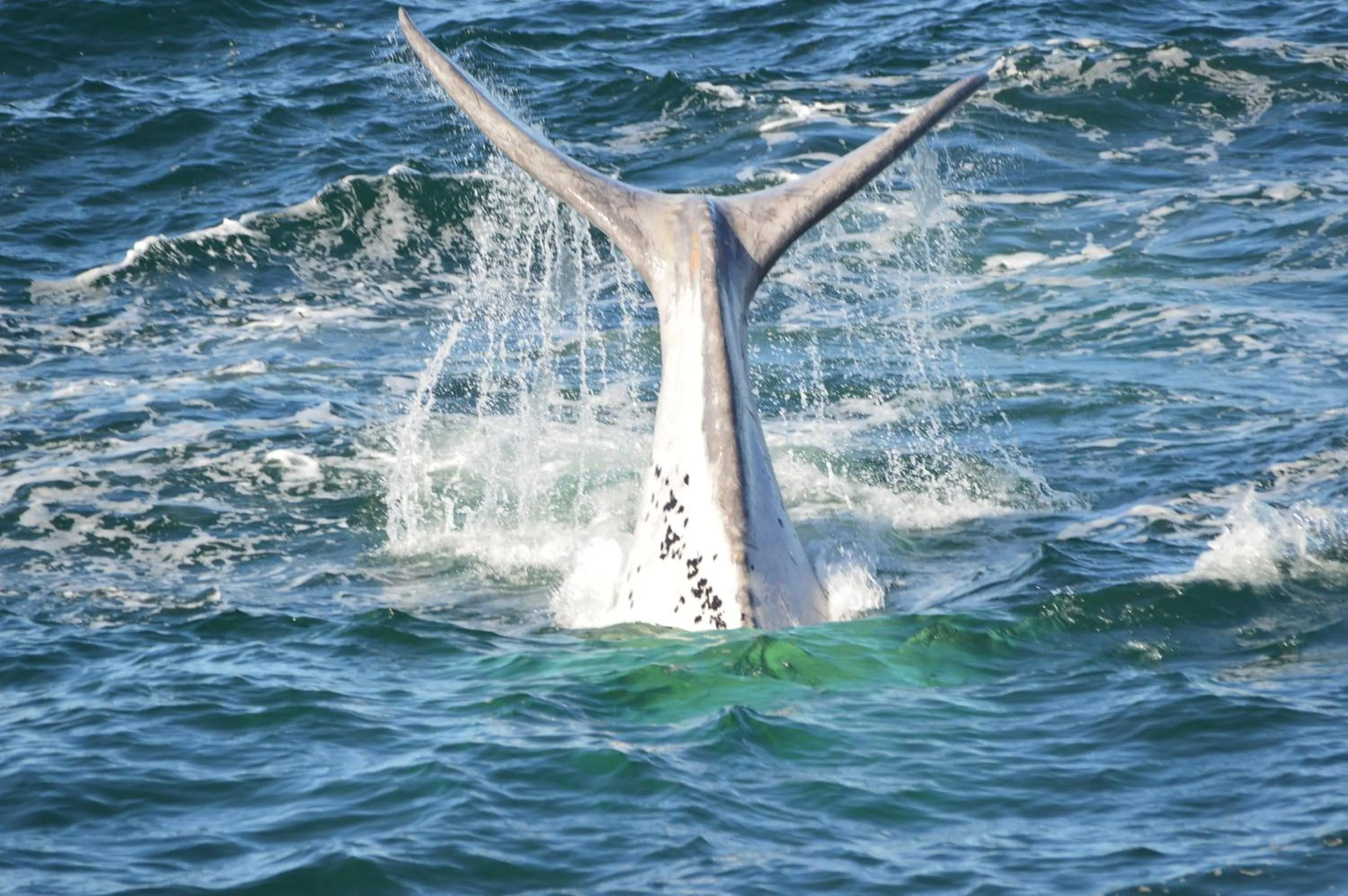 Off site in Fisherhaven Travellers Lodge