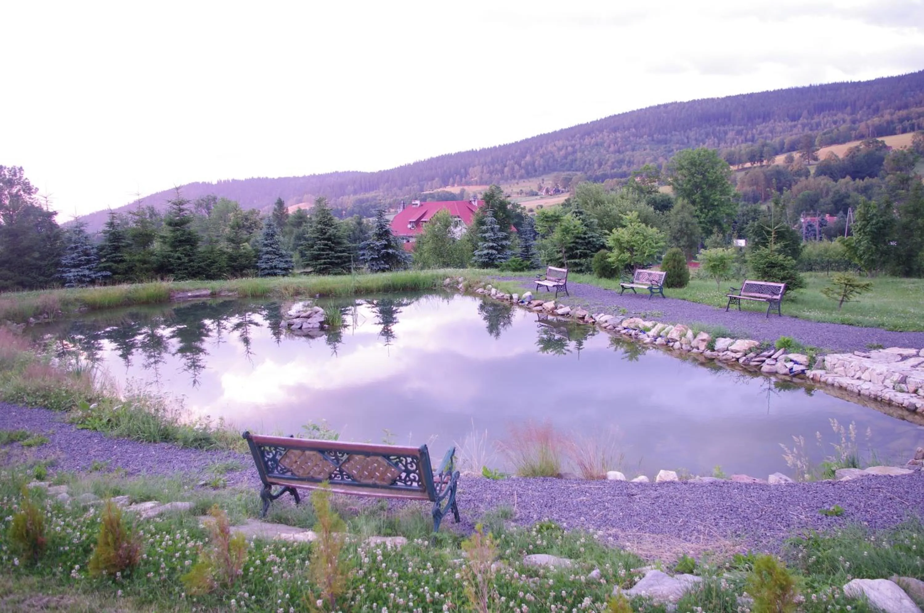 Area and facilities in Gościniec Willa Sandra
