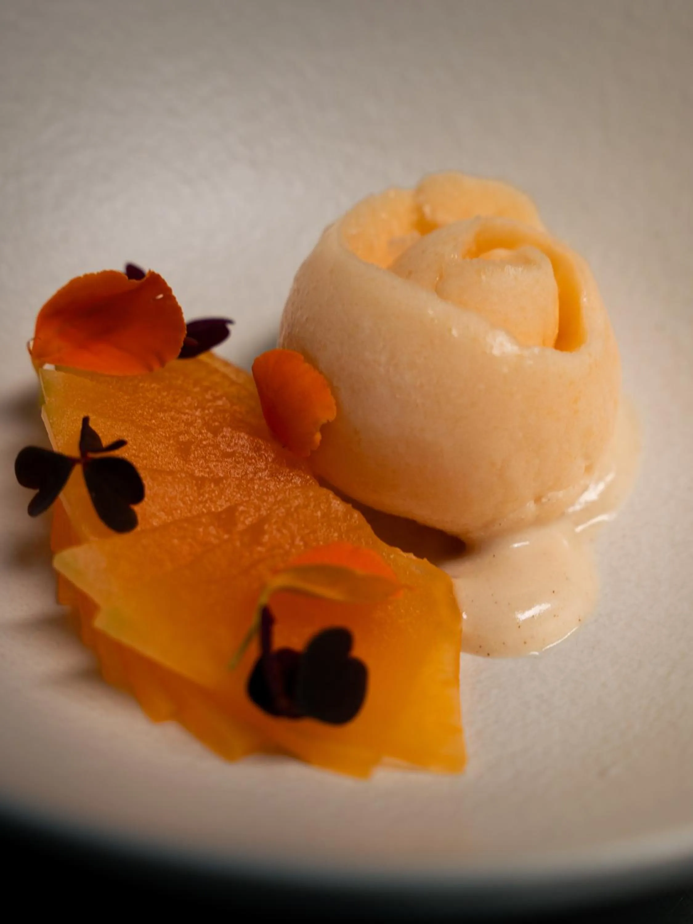 Restaurant/places to eat in Boutique Hotel Albus Amsterdam Centre