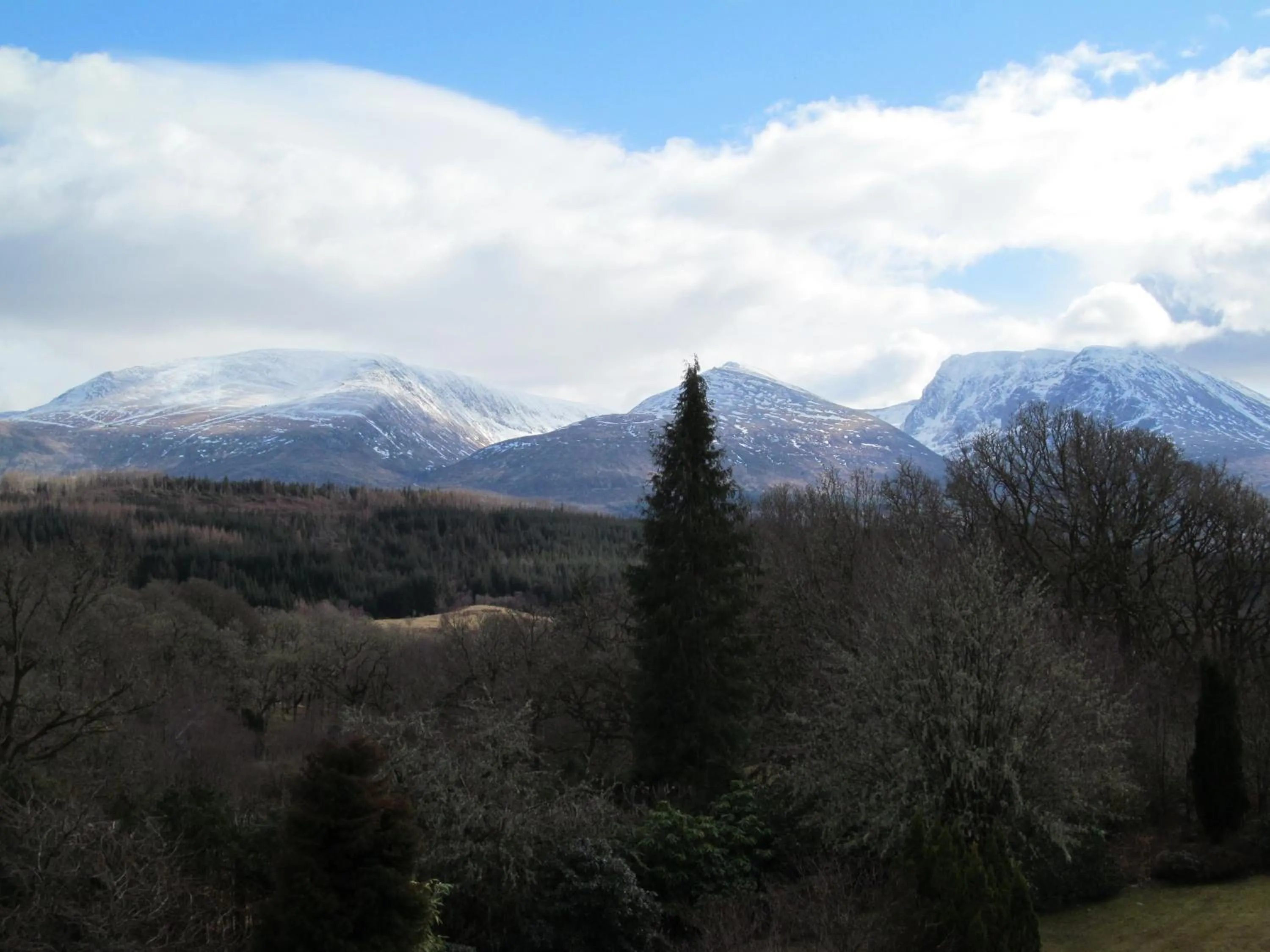 Natural landscape in Torbeag House