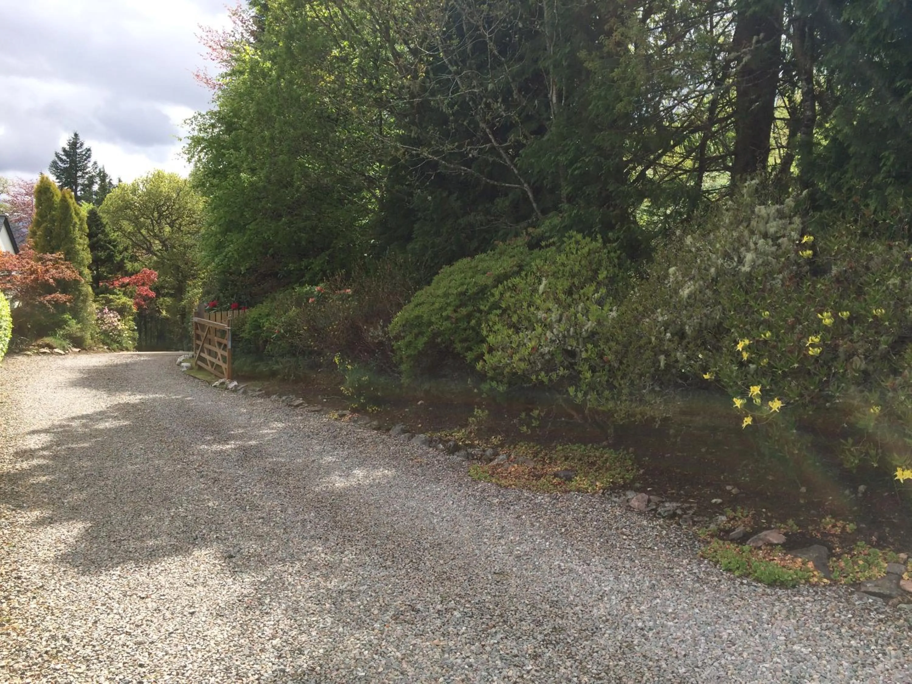 Garden in Torbeag House