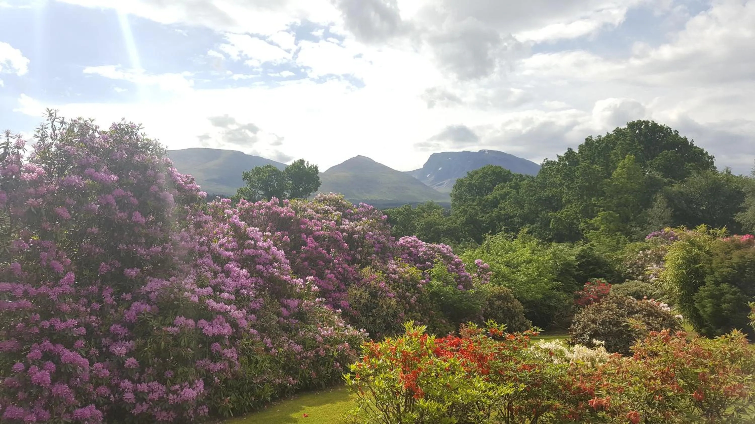 Garden view in Torbeag House