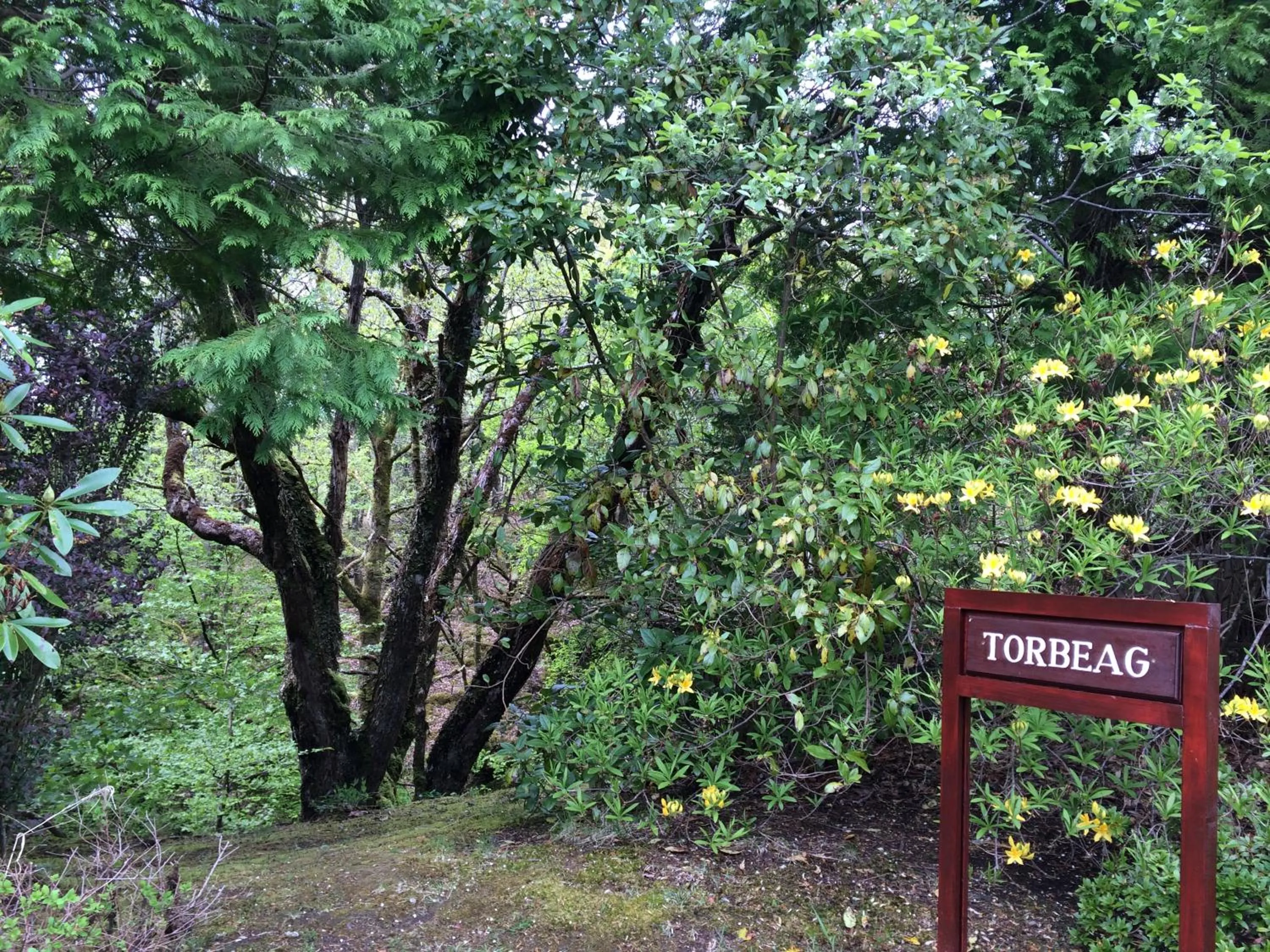 Garden in Torbeag House