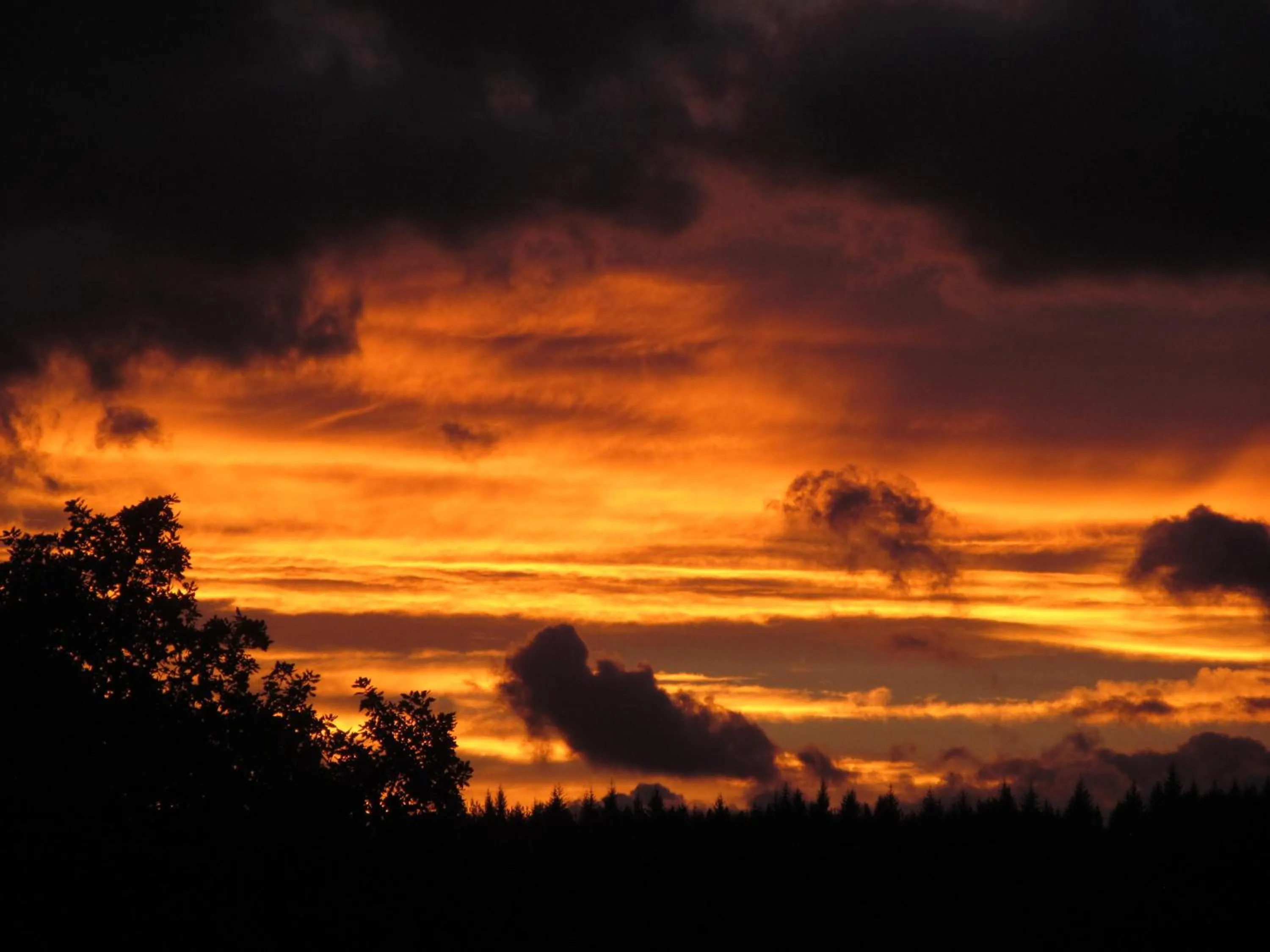 Sunrise in Torbeag House
