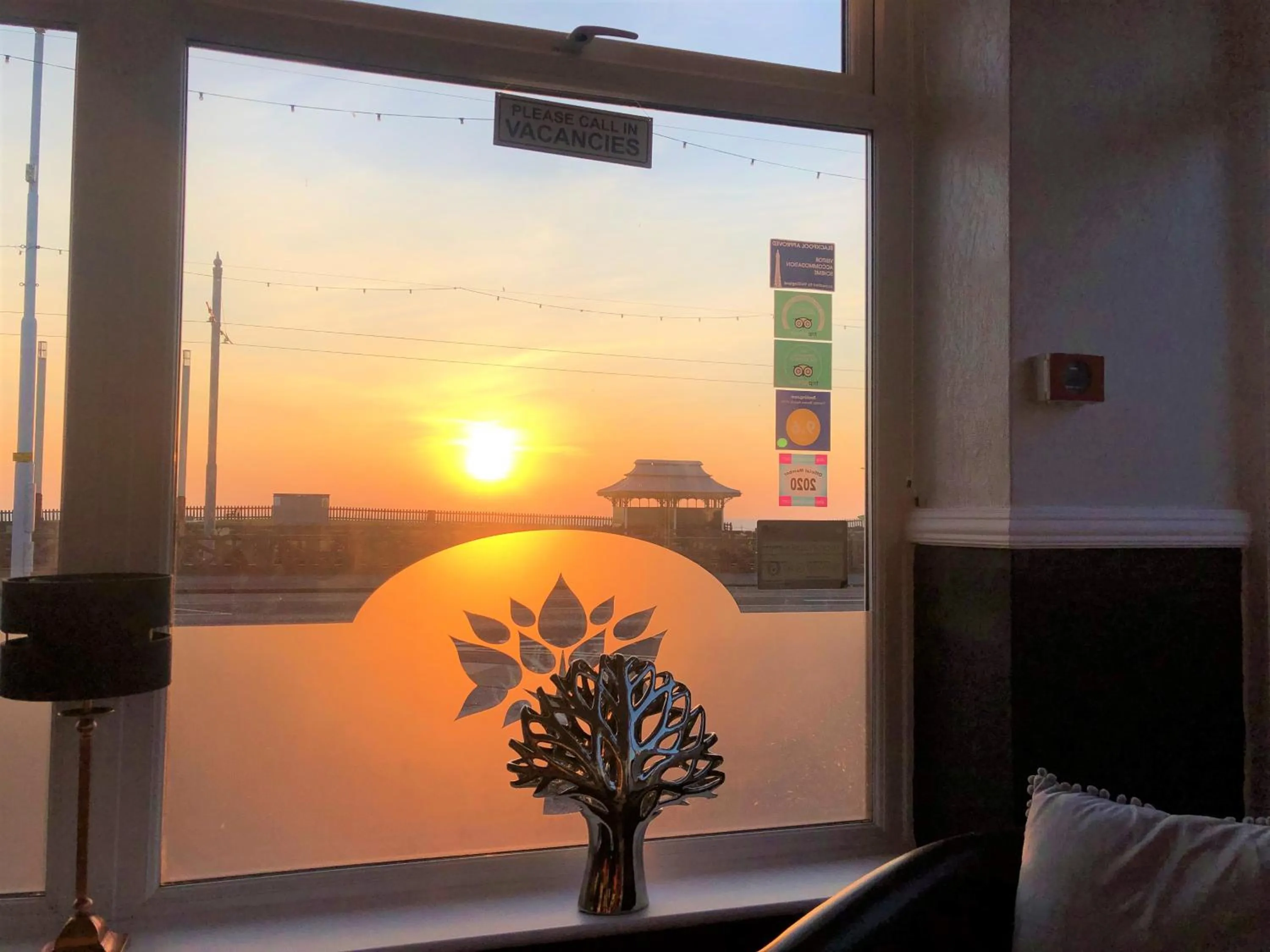 Sea view in The Fossil Tree Hotel