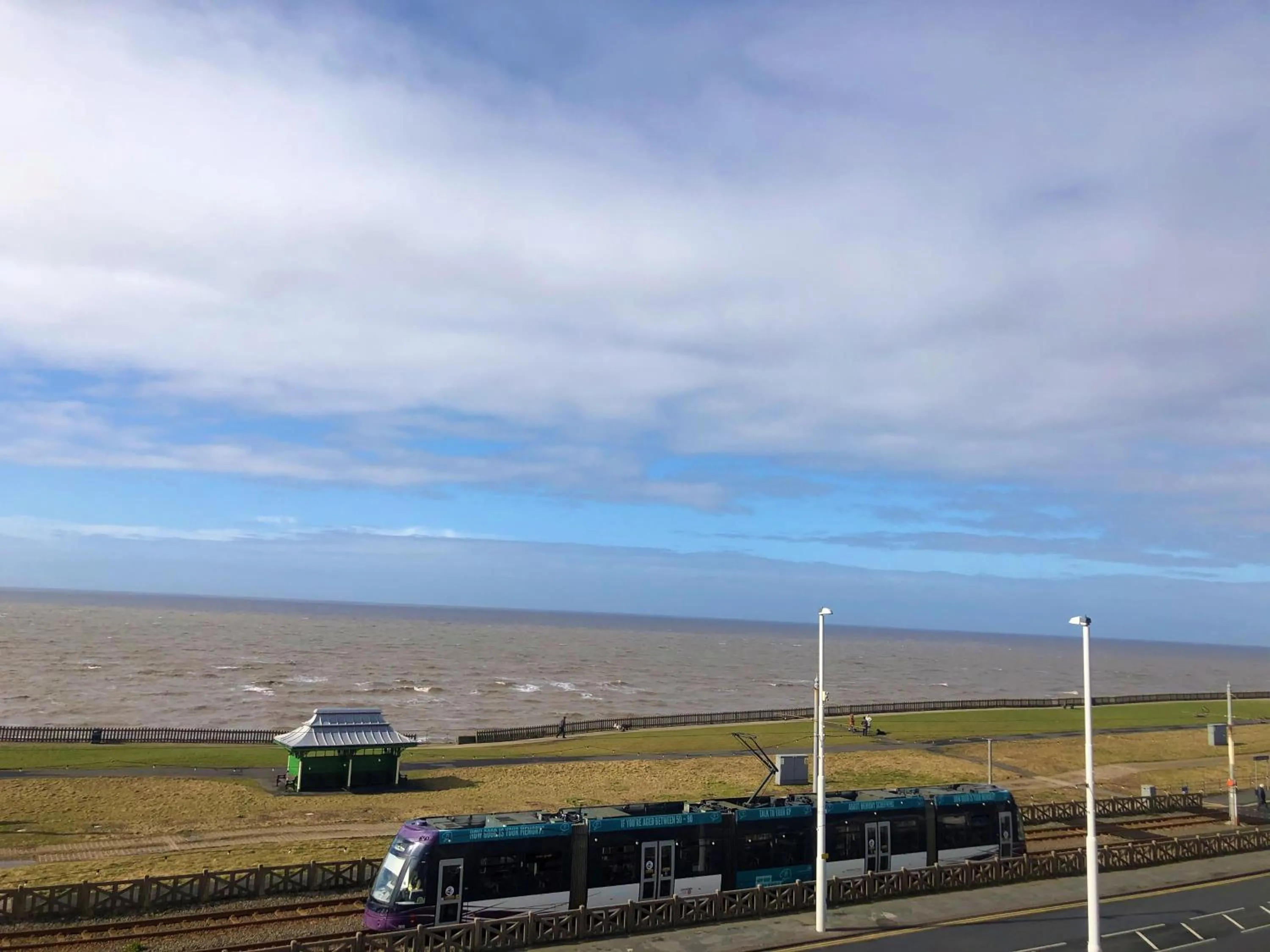 Sea view in The Fossil Tree Hotel