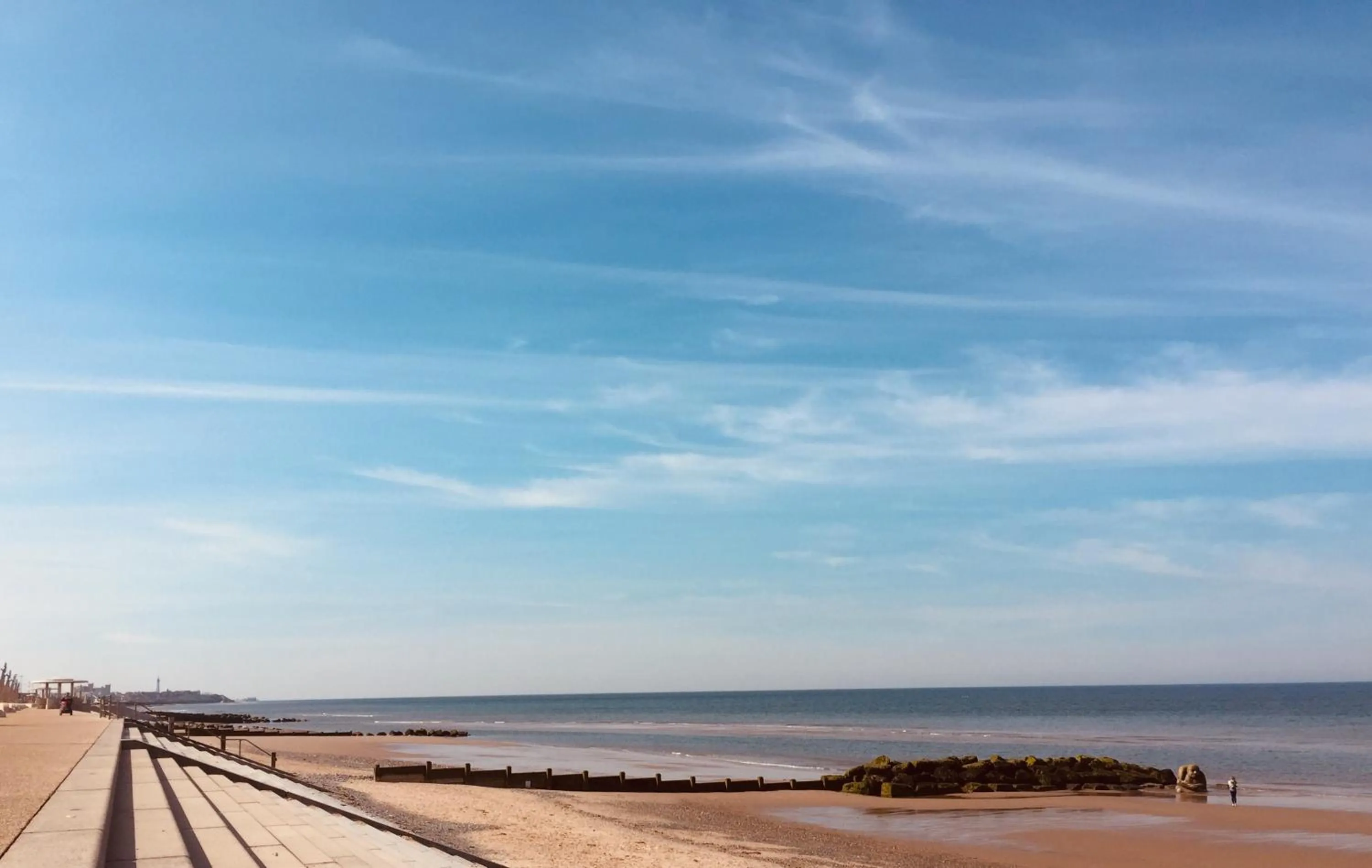 Beach in The Fossil Tree Hotel