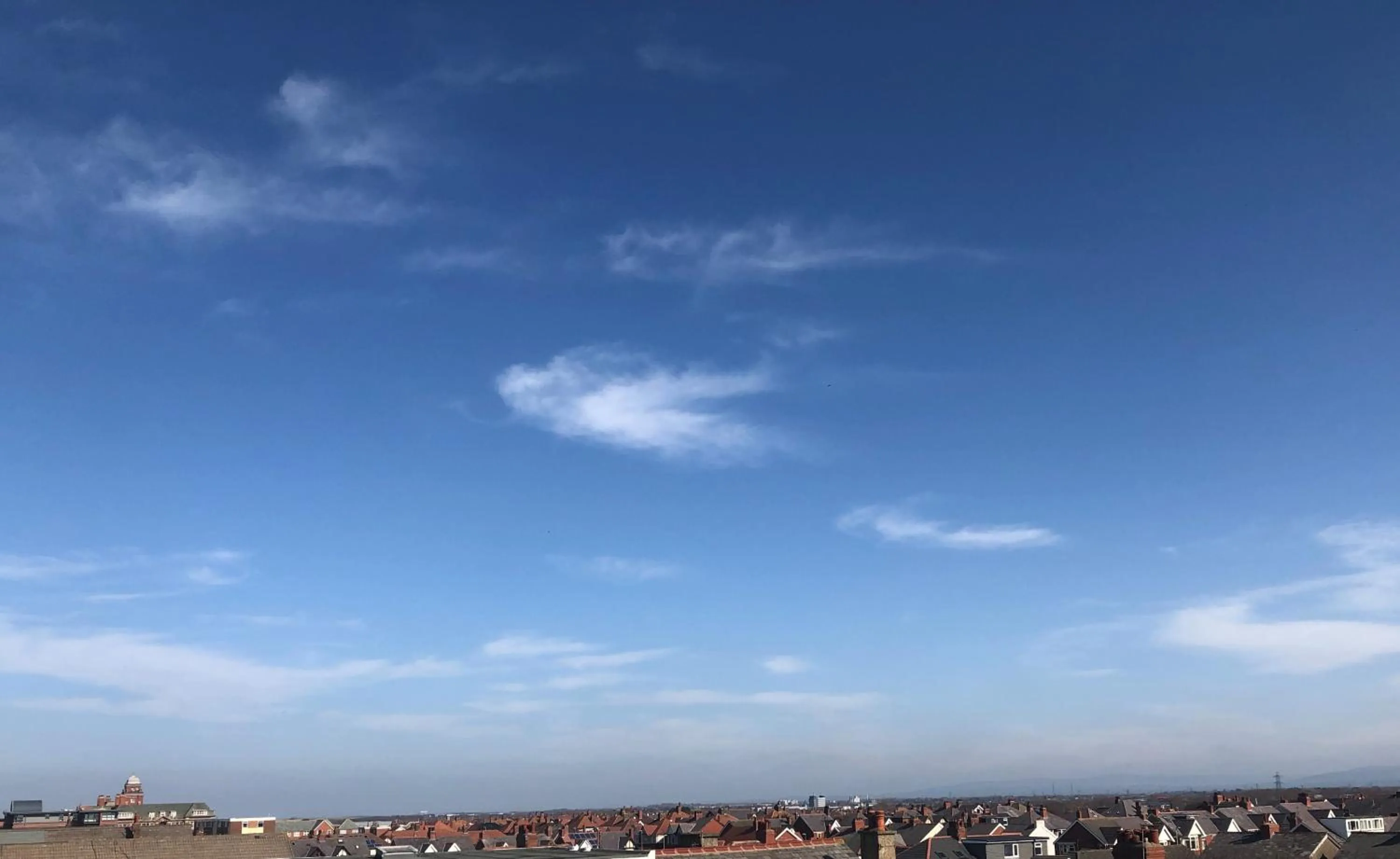 Sea view in The Fossil Tree Hotel