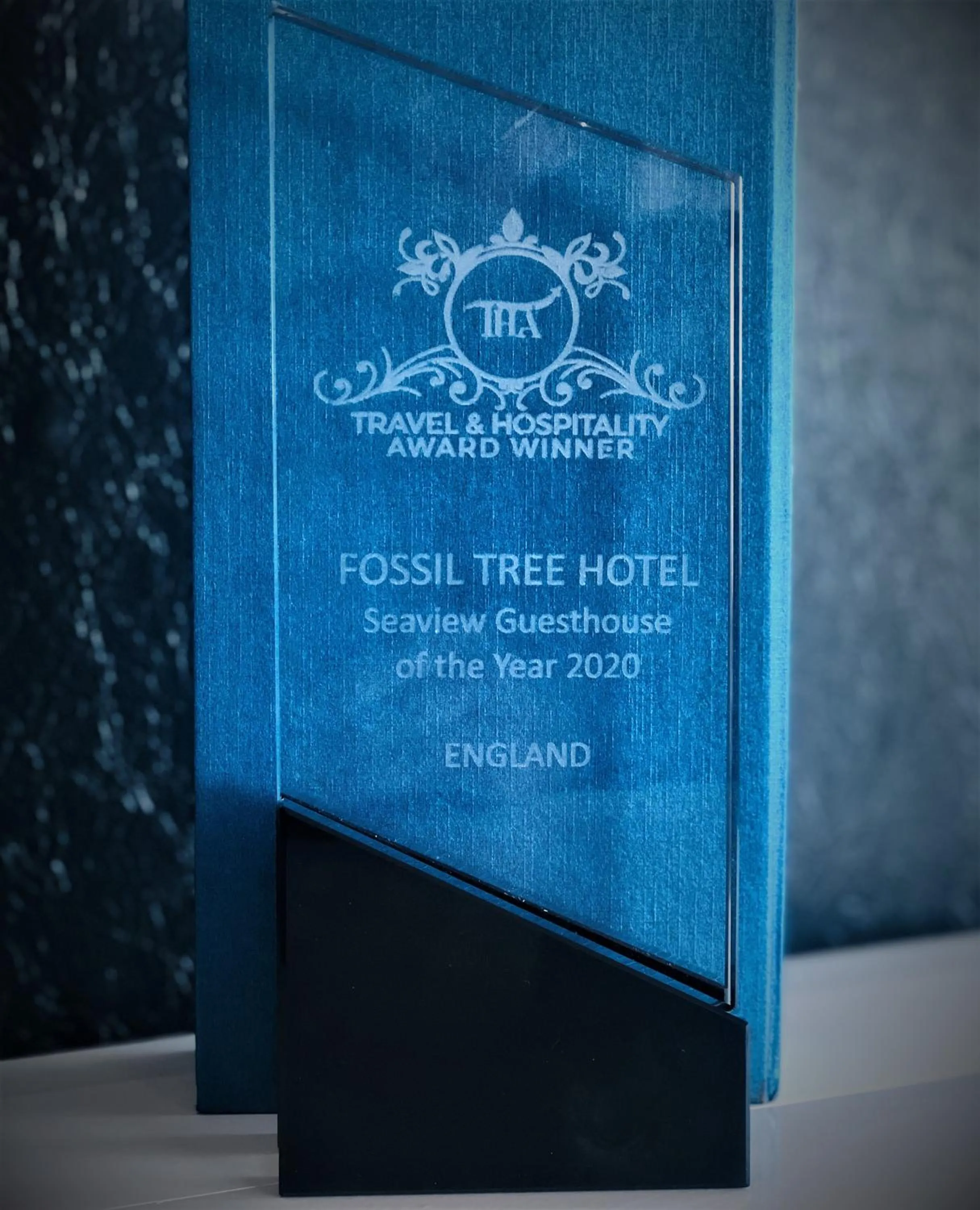 Certificate/Award in The Fossil Tree Hotel