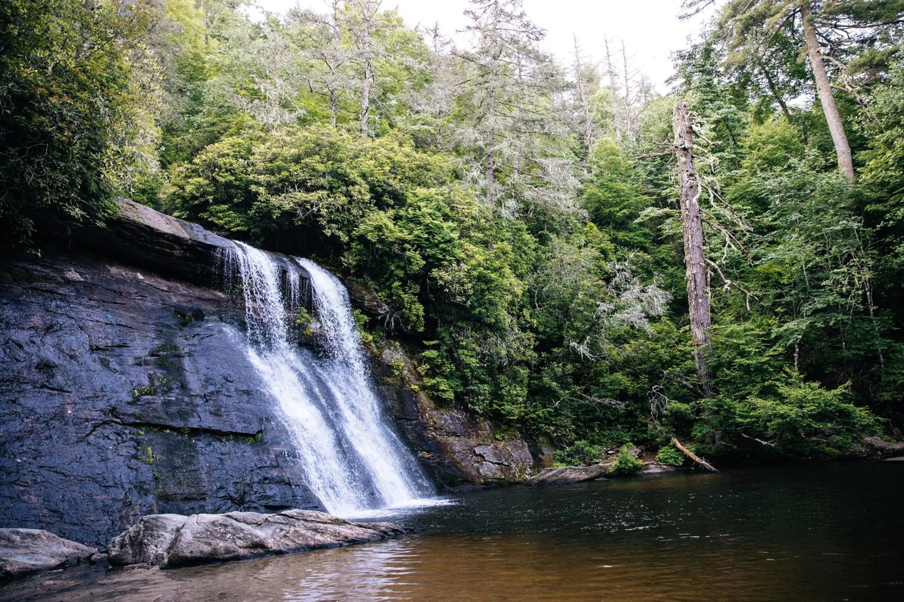 Natural landscape in Skyline Lodge