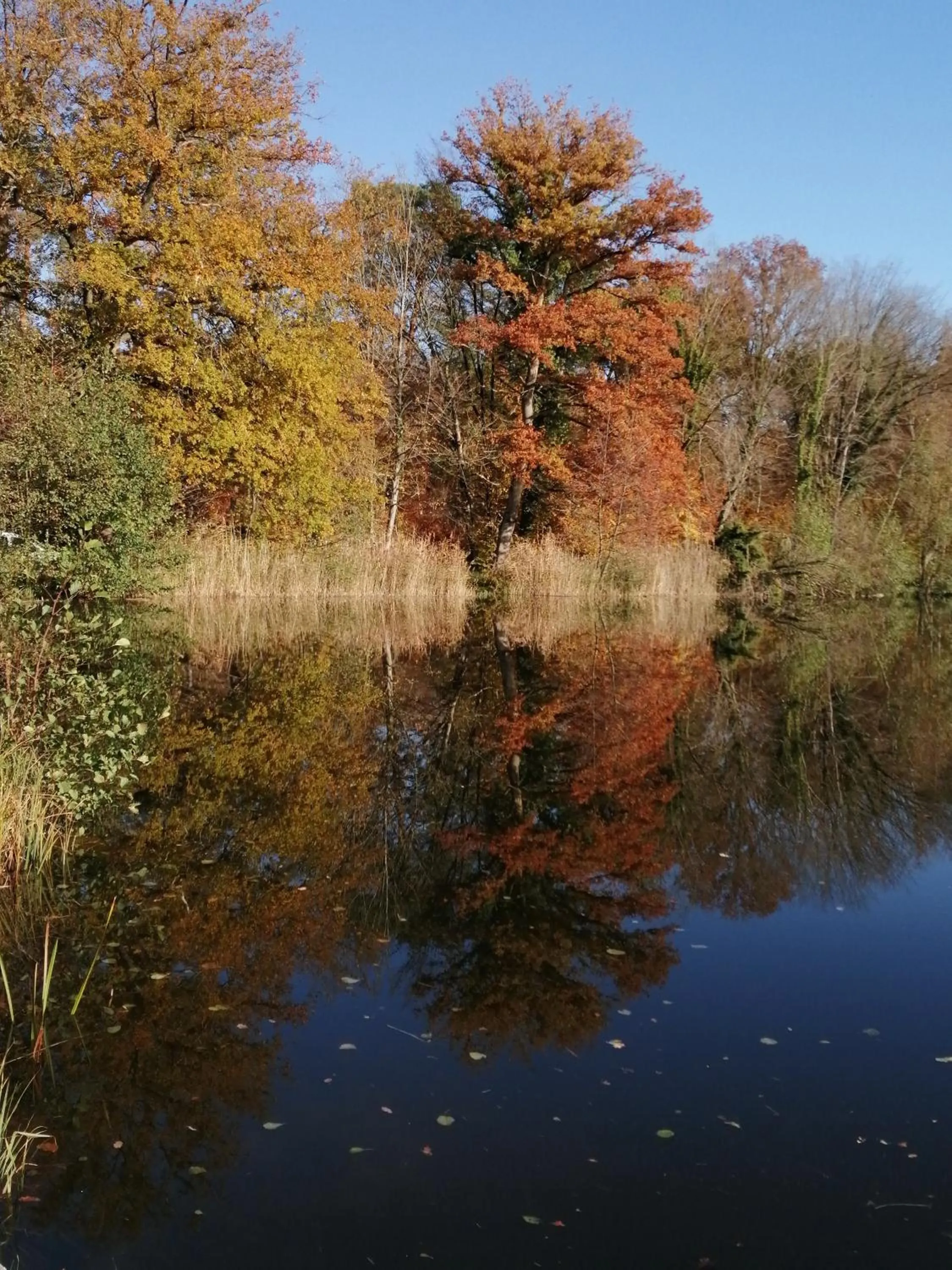 Natural landscape in Ma Gentilhommière