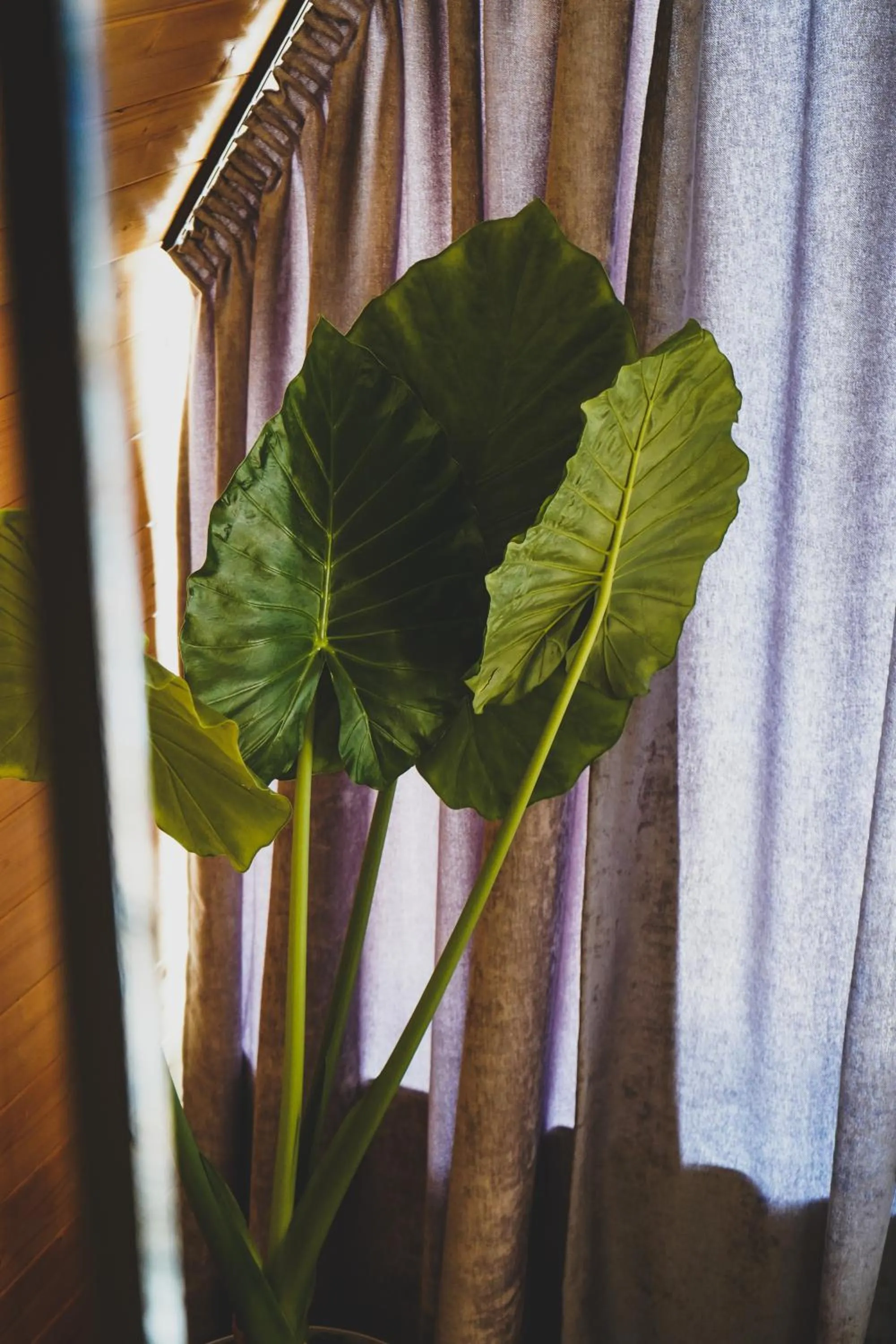 Decorative detail in Kazbegi Folk Cottages