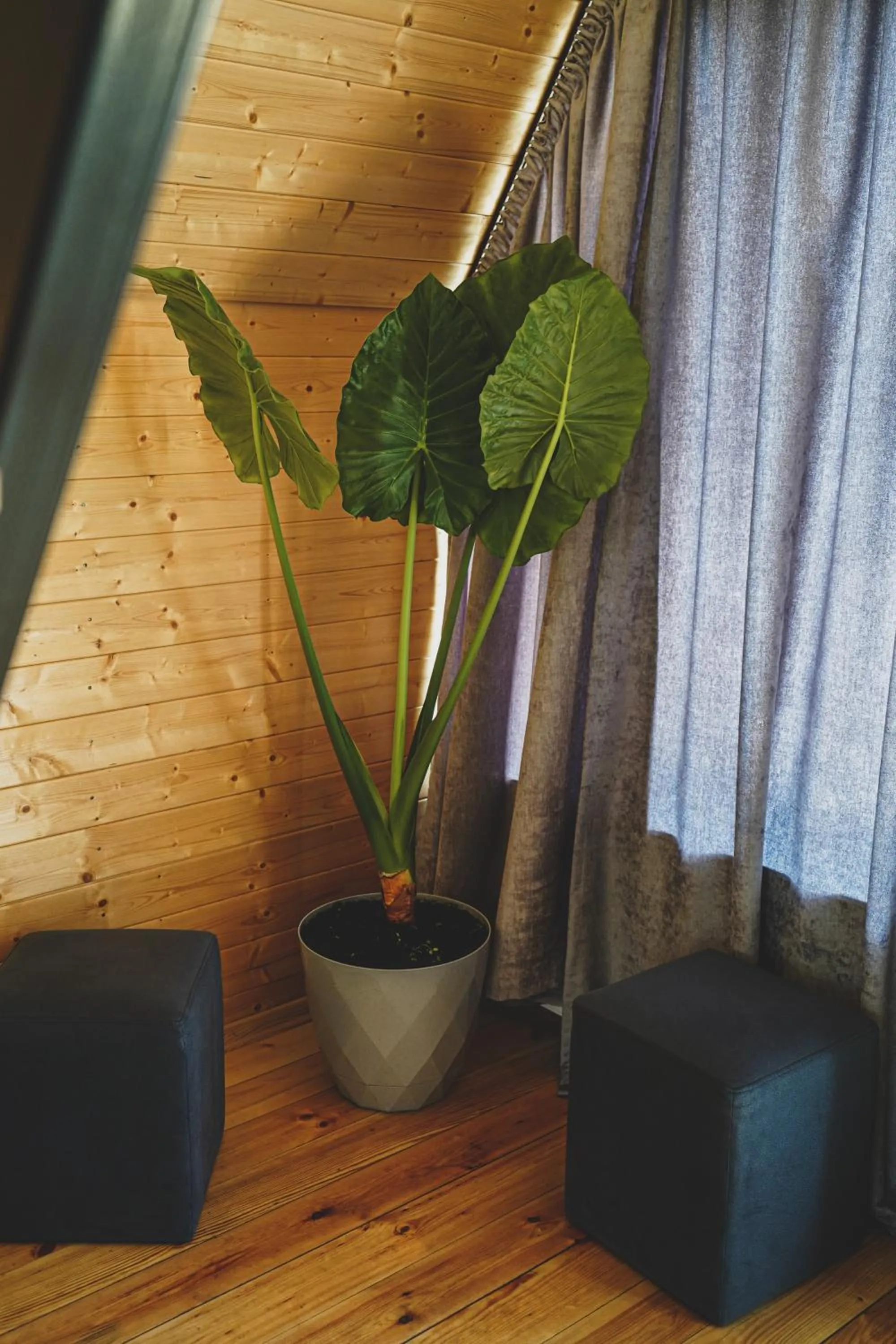 Living room in Kazbegi Folk Cottages