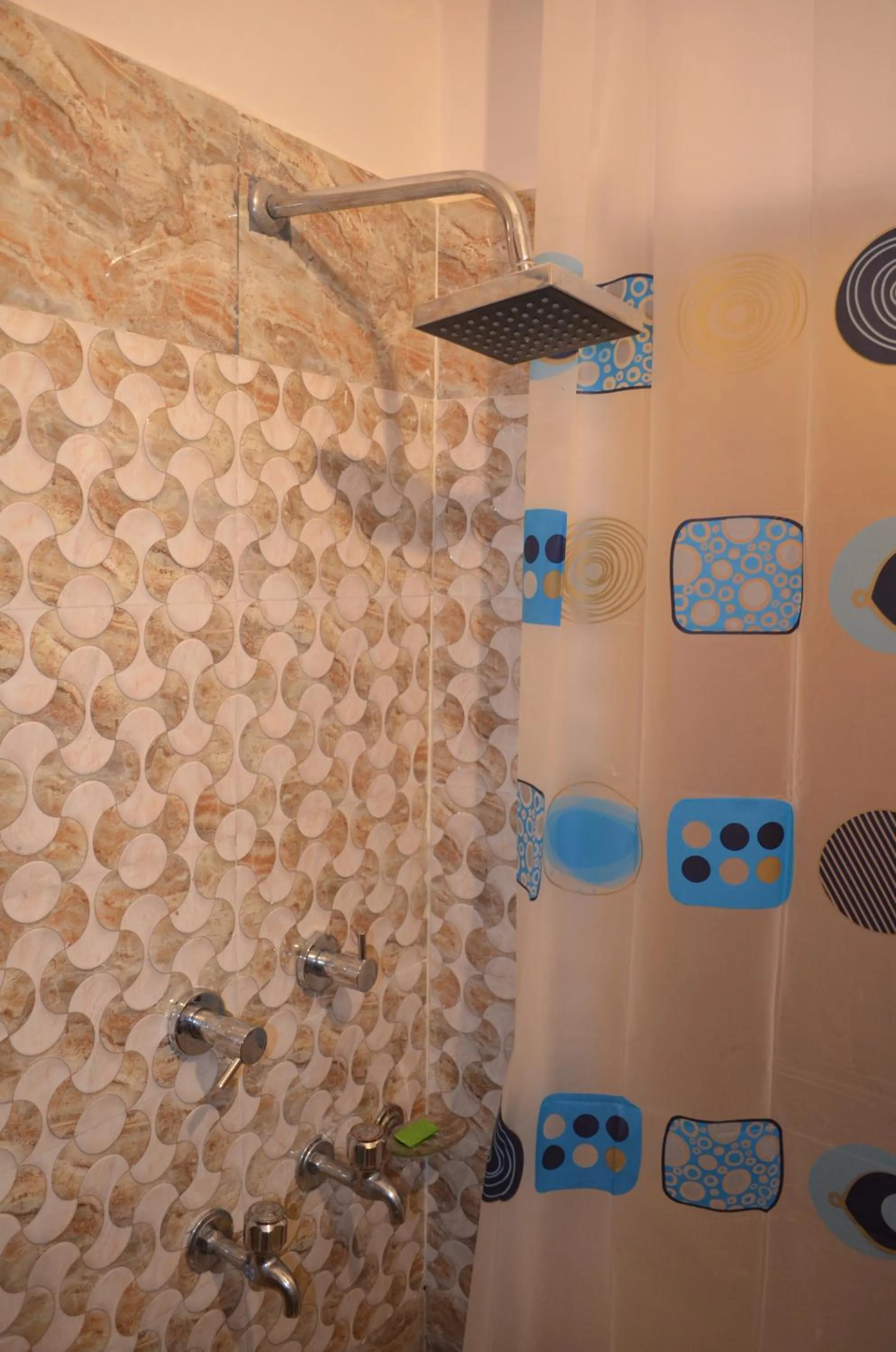 Hotel Centre Point Resorts Palampur