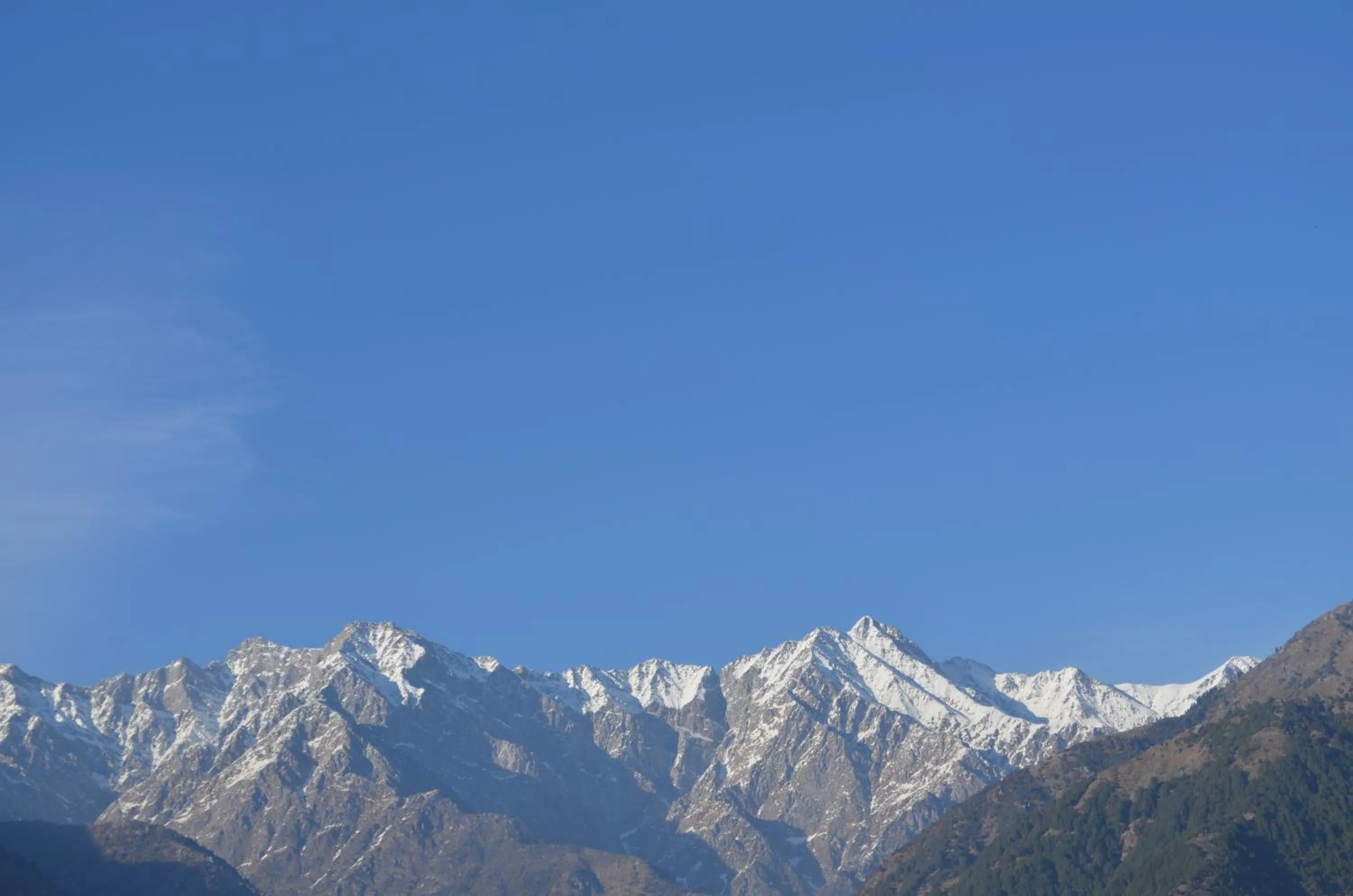 Hotel Centre Point Resorts Palampur