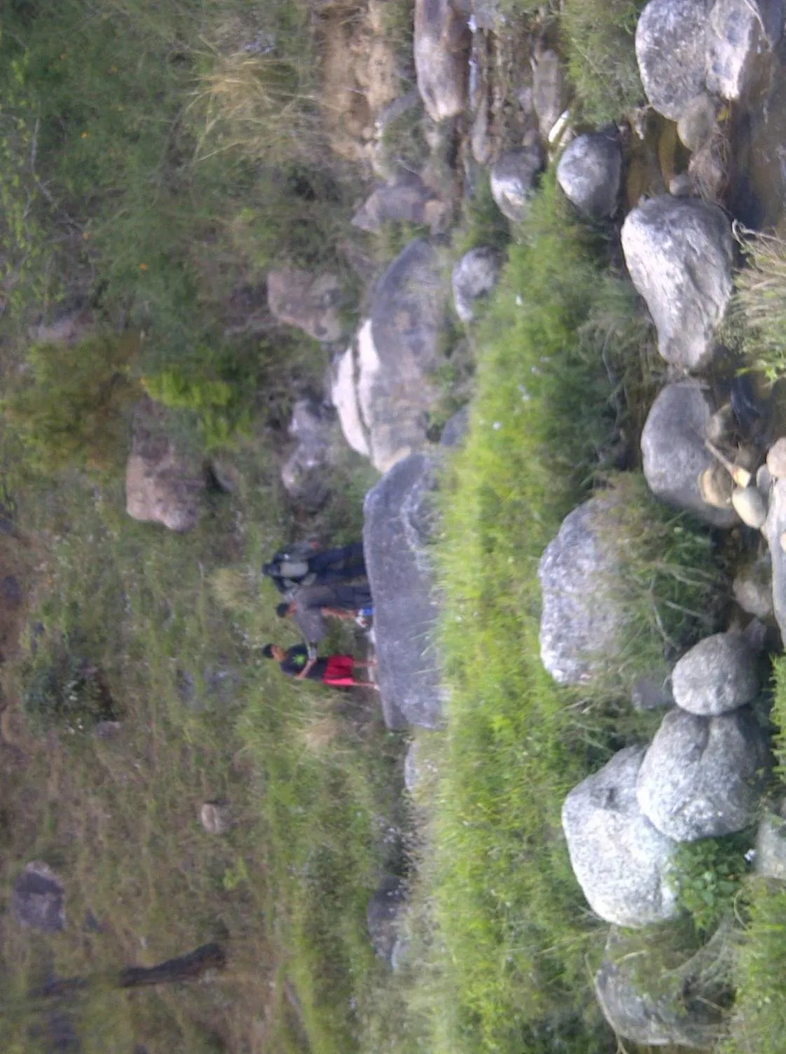 Natural landscape in Hotel Centre Point Resorts Palampur