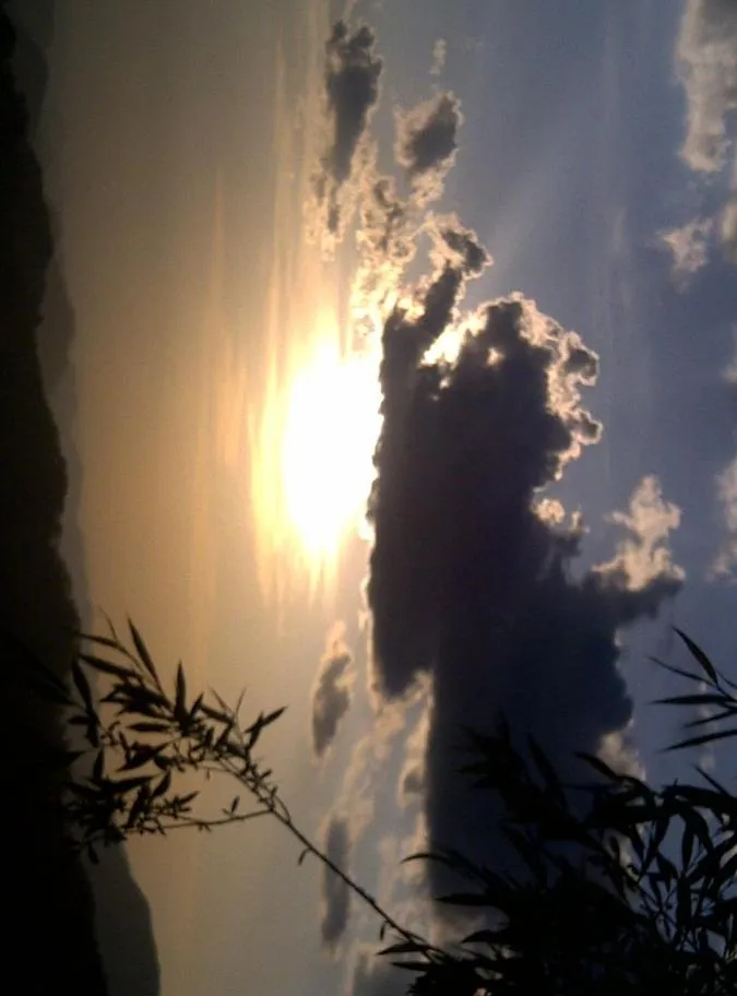 Hotel Centre Point Resorts Palampur