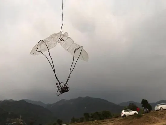 Hotel Centre Point Resorts Palampur