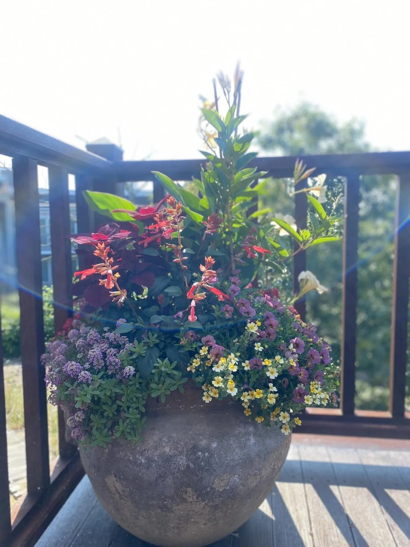Property building in Bayberry Beach House