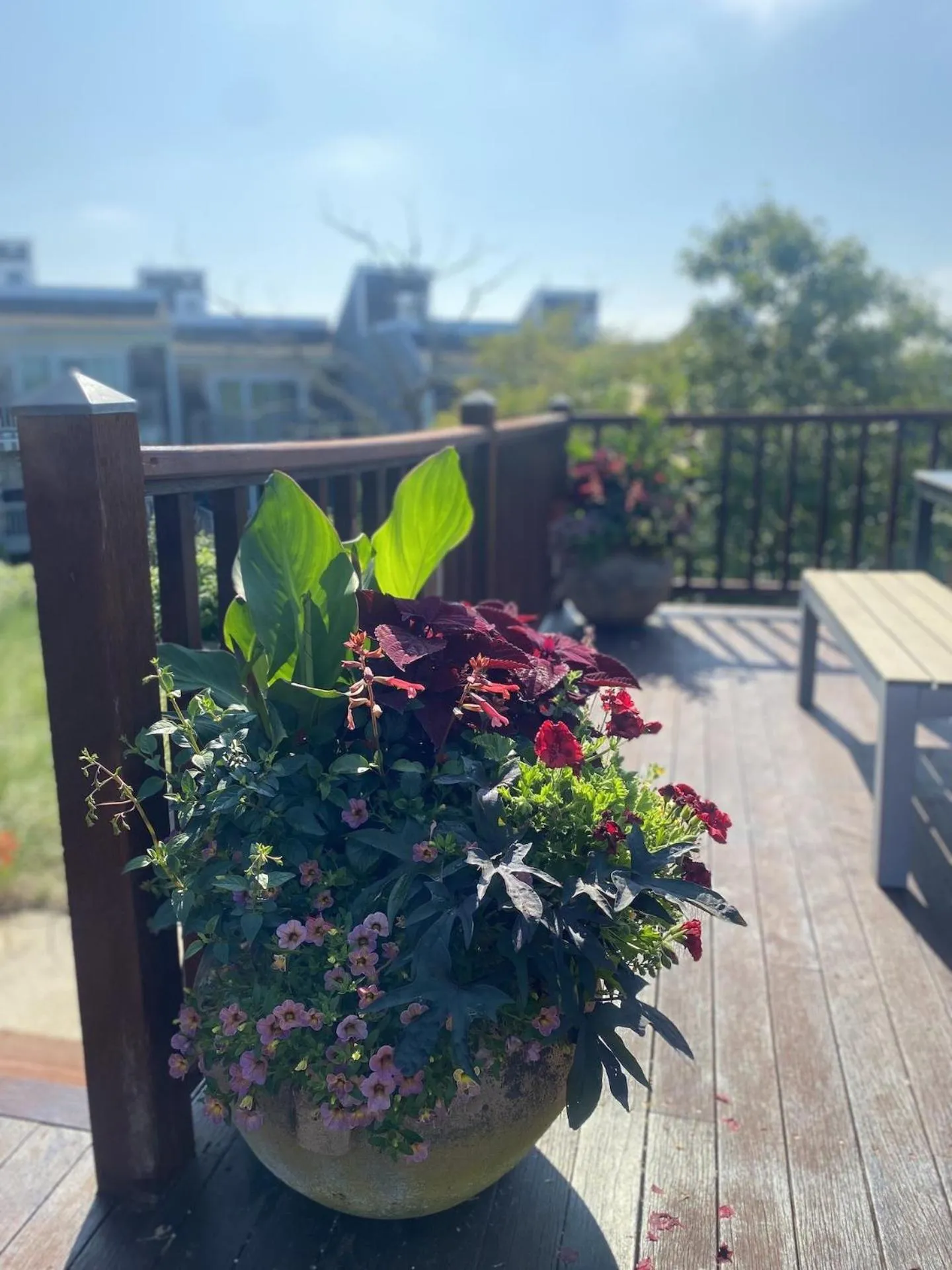 Property building in Bayberry Beach House
