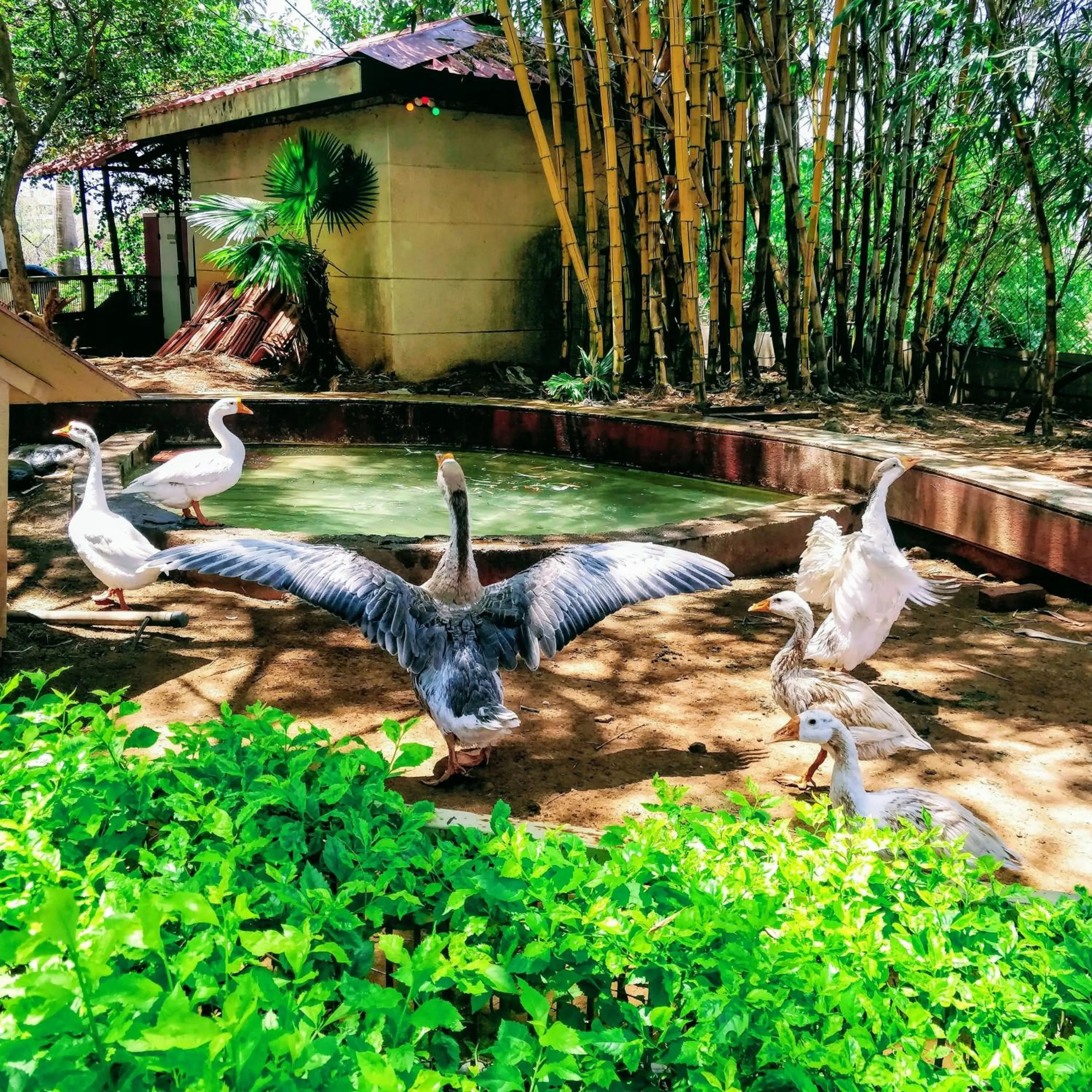 Property building in Dew Drops Boutique Retreat