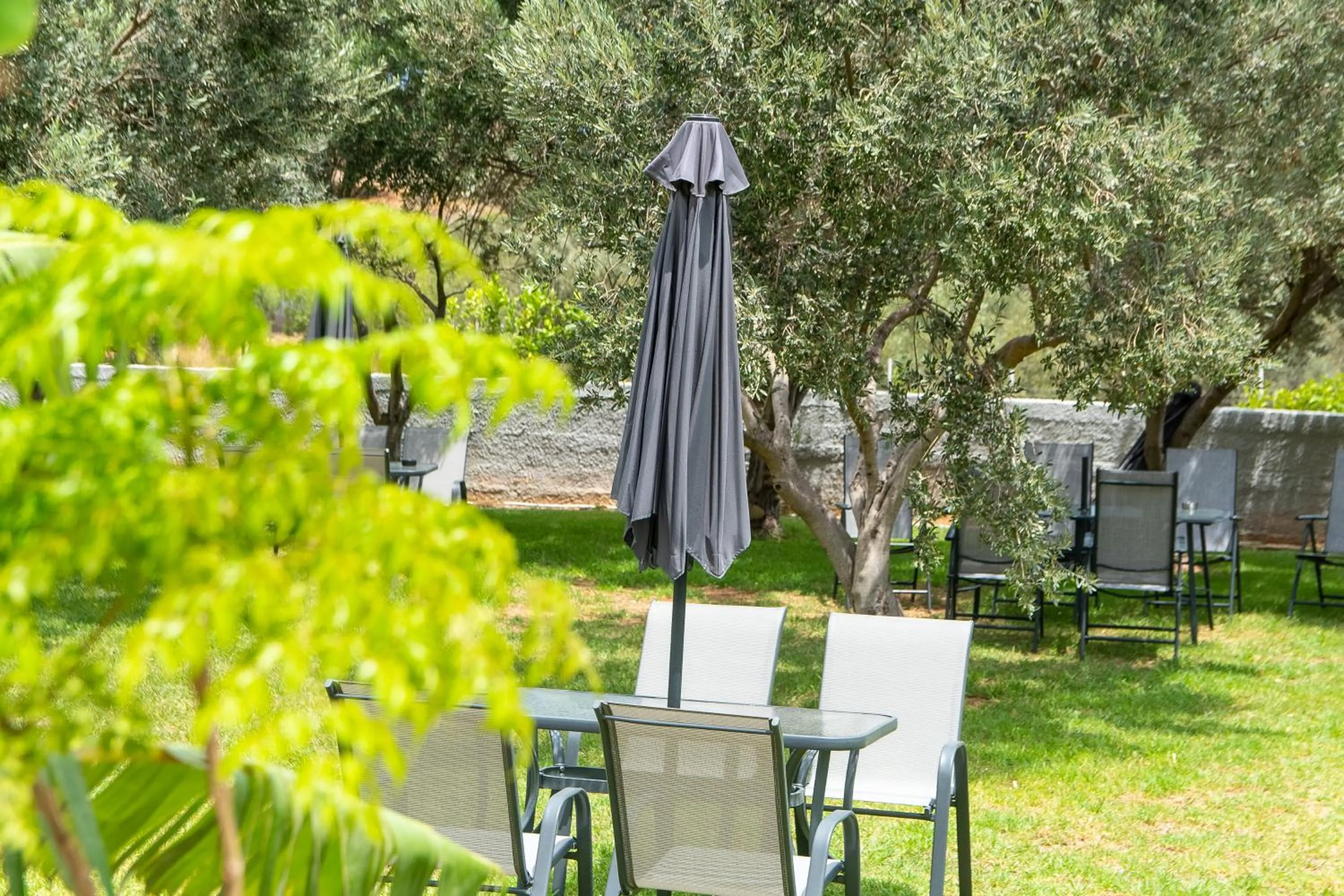 Garden view in Airscape Hotel Free Shuttle From And To Athen's Airport