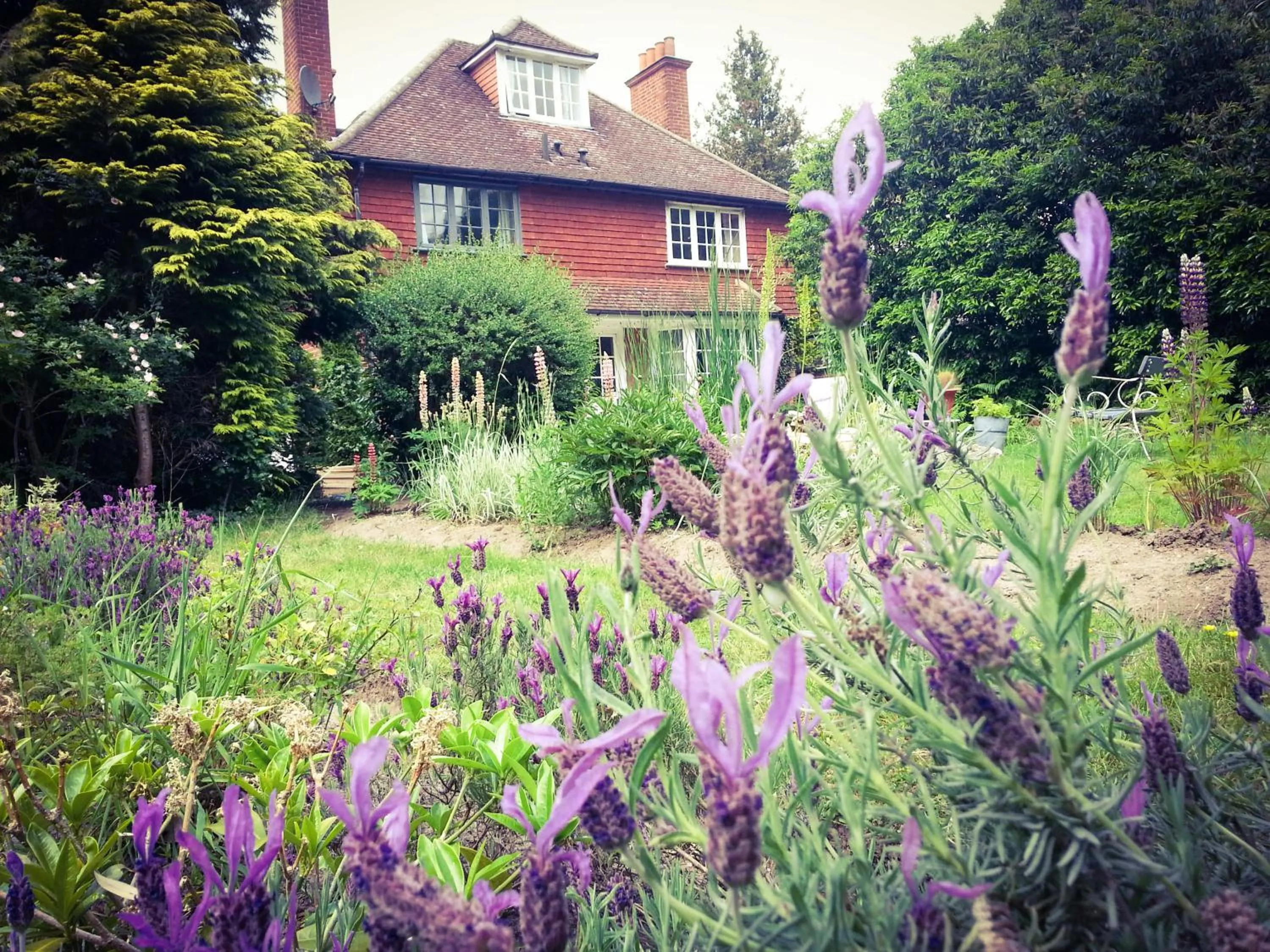 Garden view in Rosemead Guest House