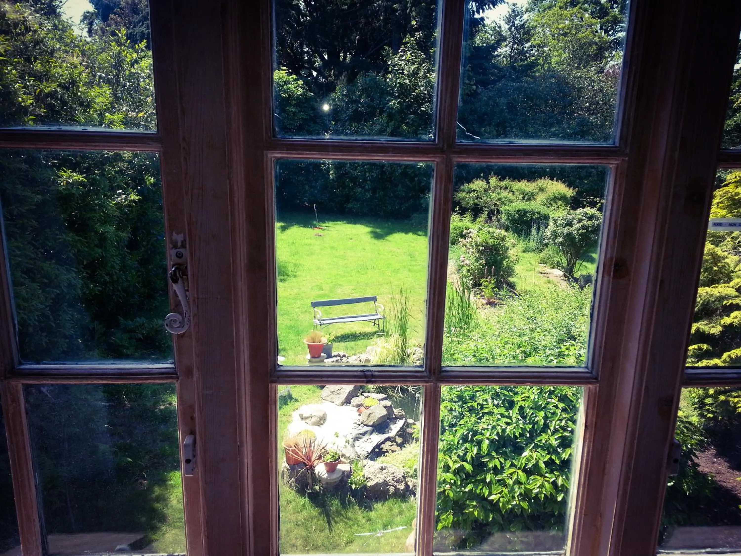 Garden view in Rosemead Guest House