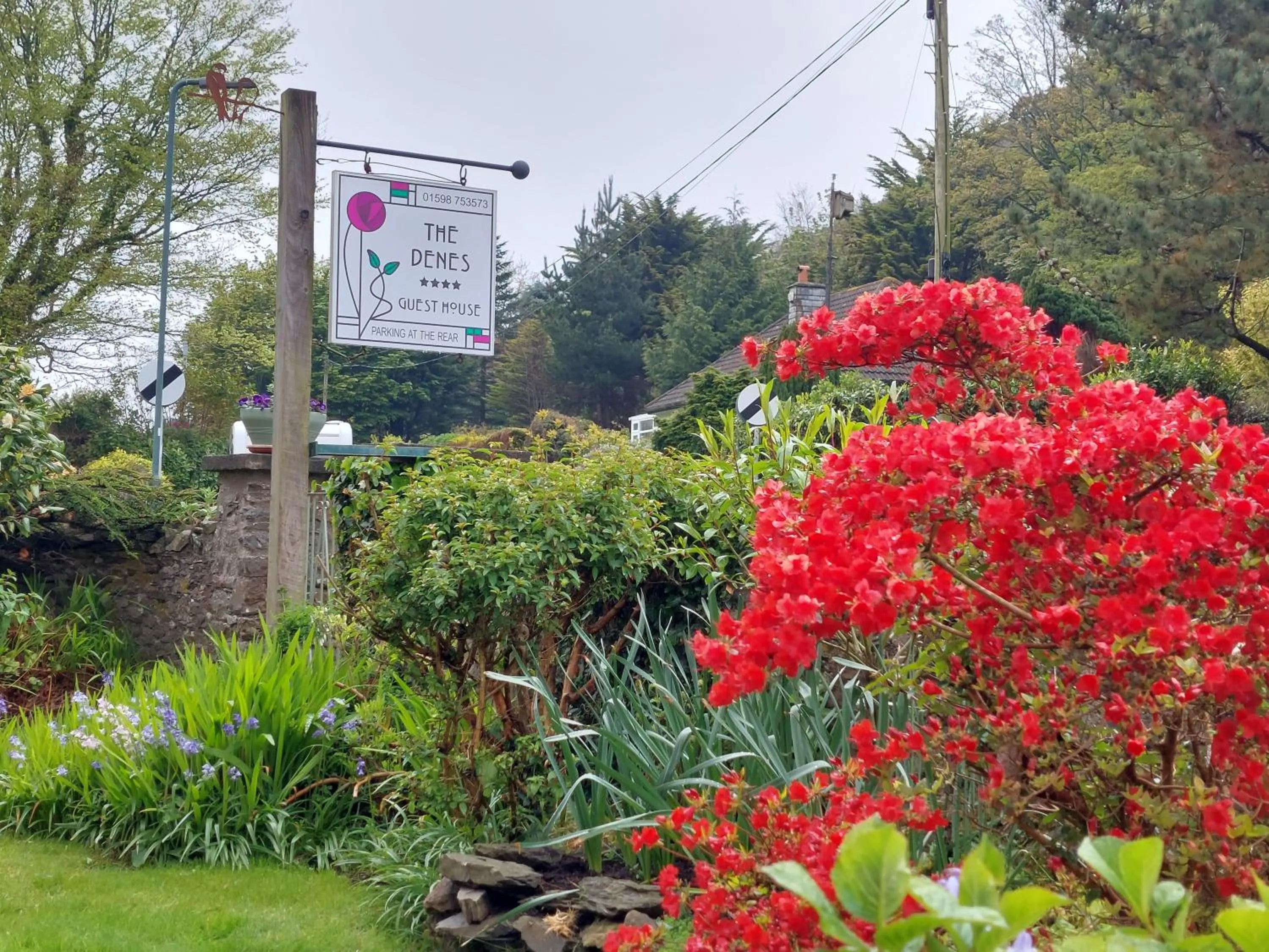 Garden in The Denes Guest House
