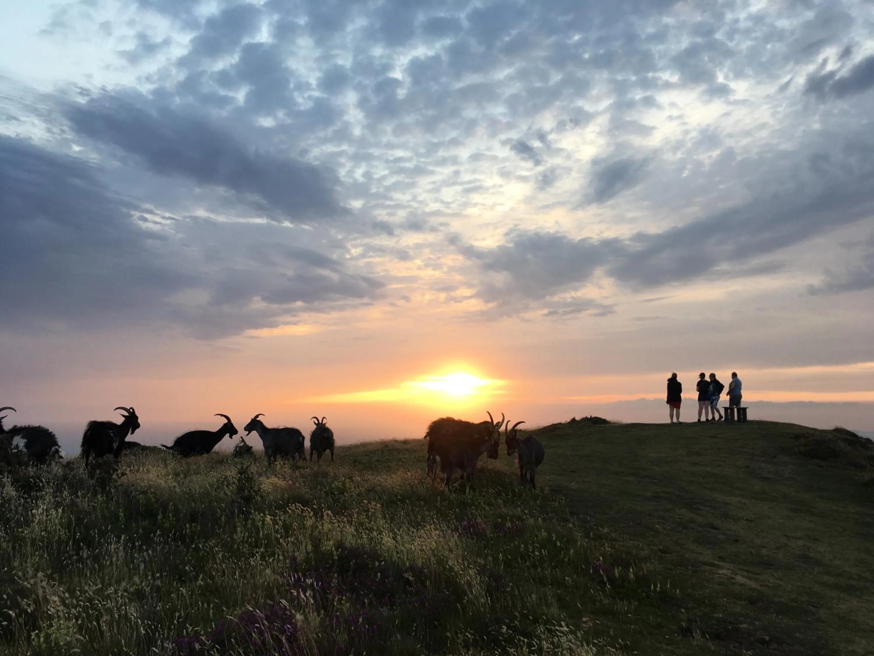 Neighbourhood in The Denes Guest House